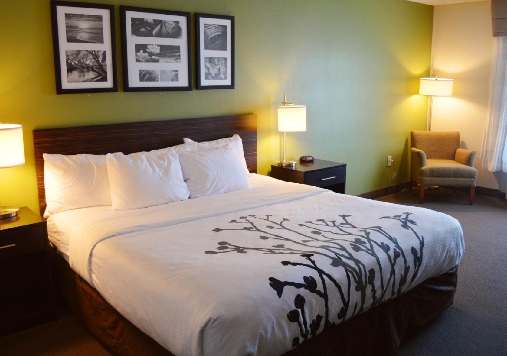Standard King Room - Non-Smoking  - Photo 1