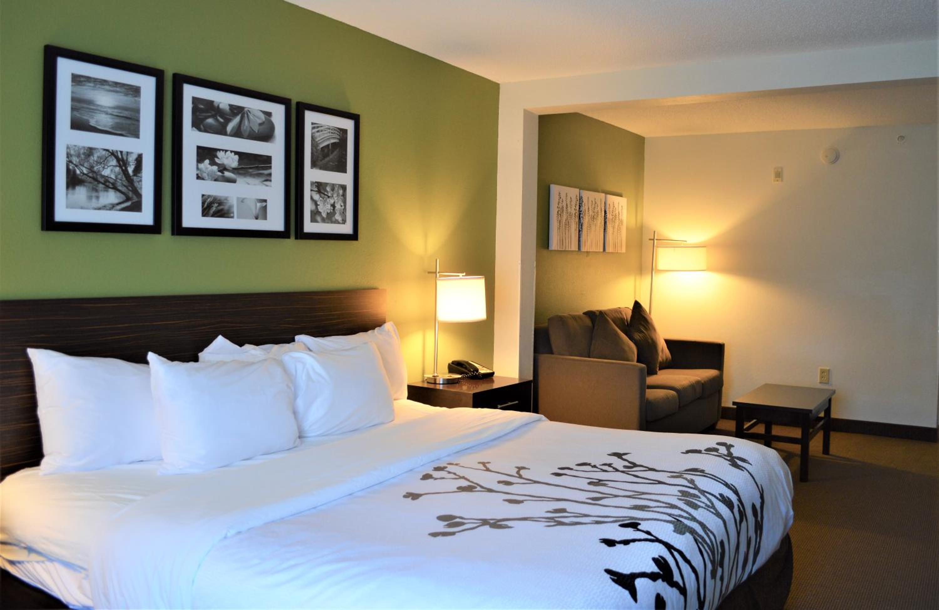 King Suite - Non-Smoking - Photo 1