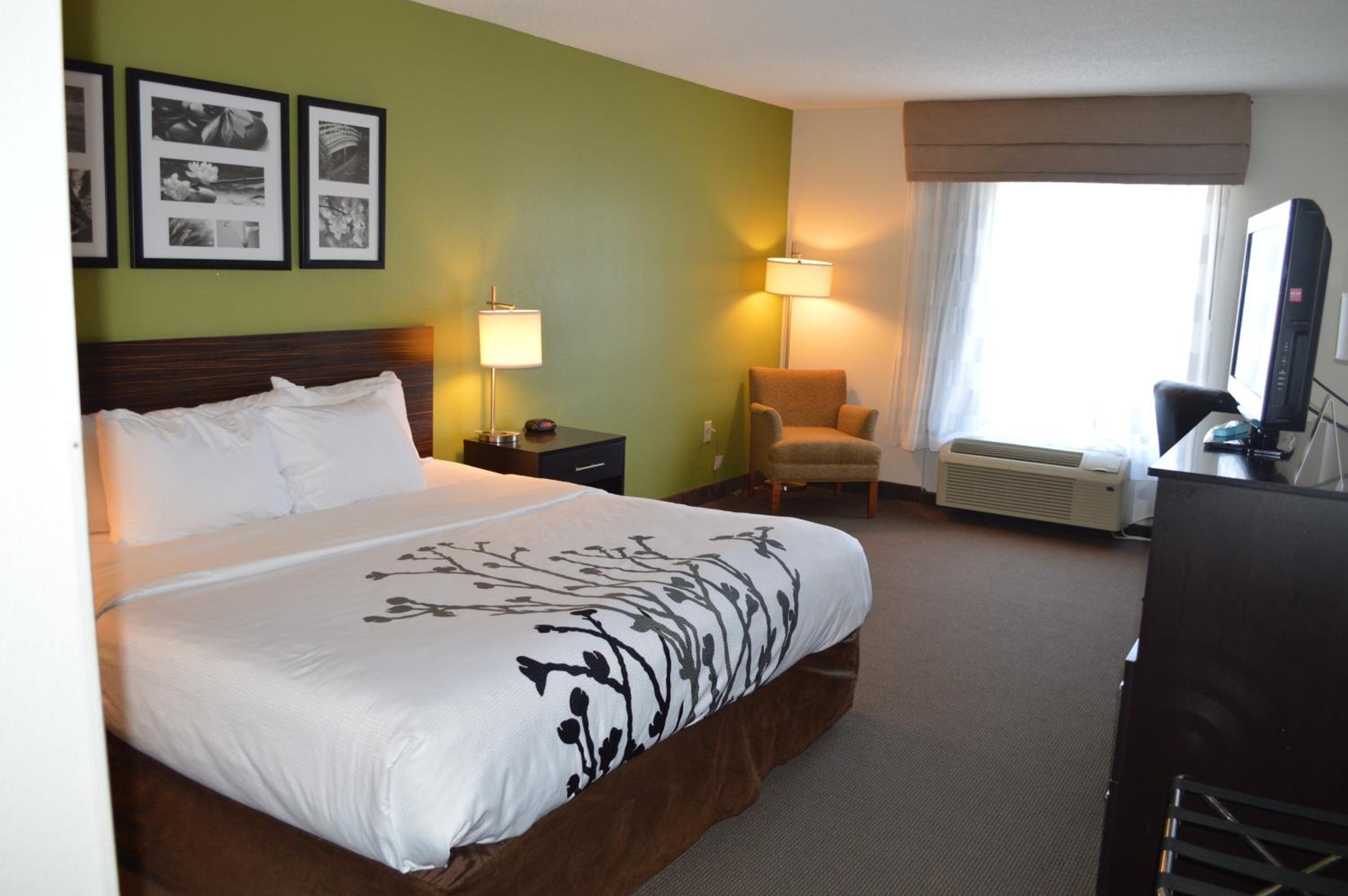 Standard King Room - Non-Smoking  - Photo 2