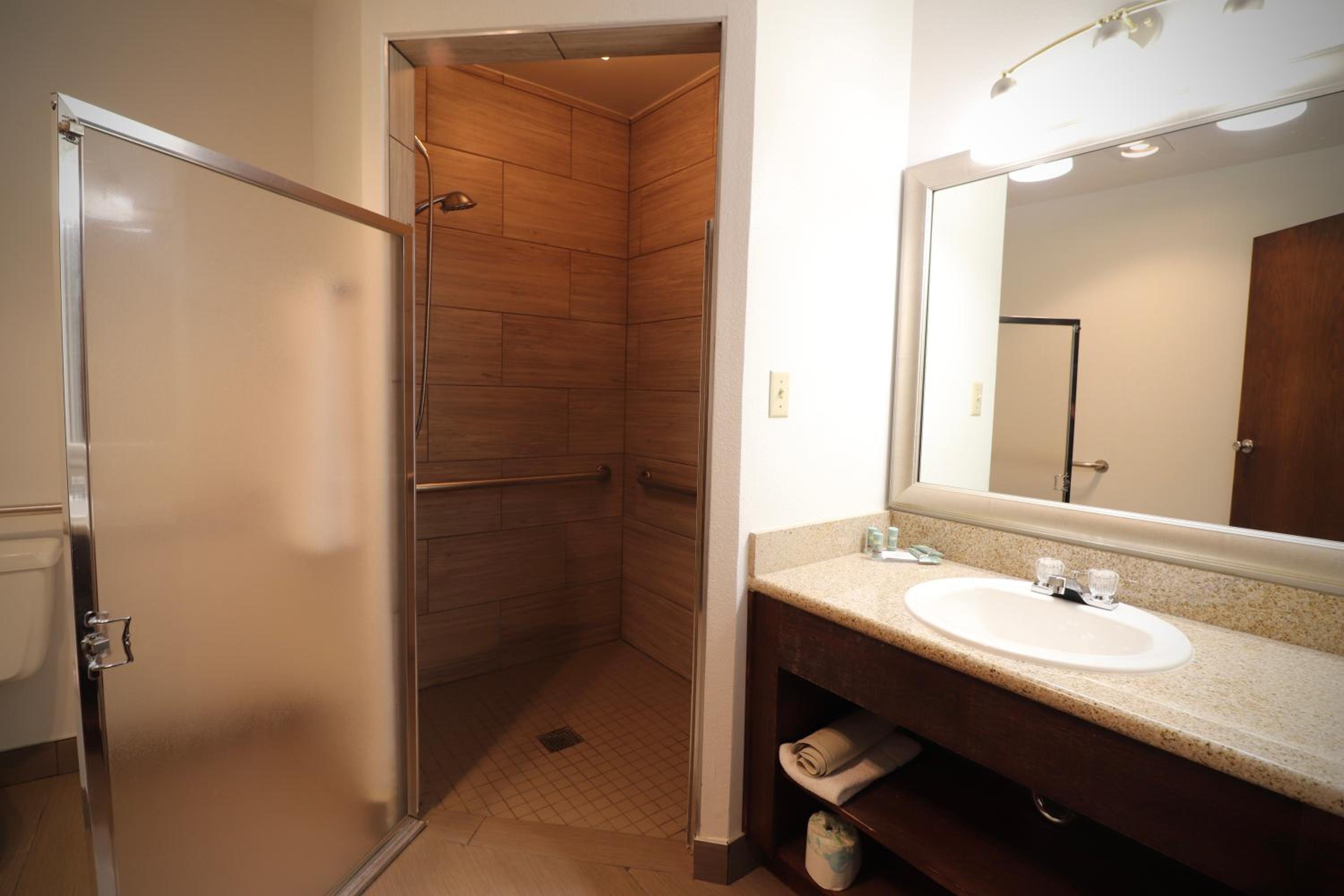 King Room with Walk-In Shower - Mobility Access - Photo 4