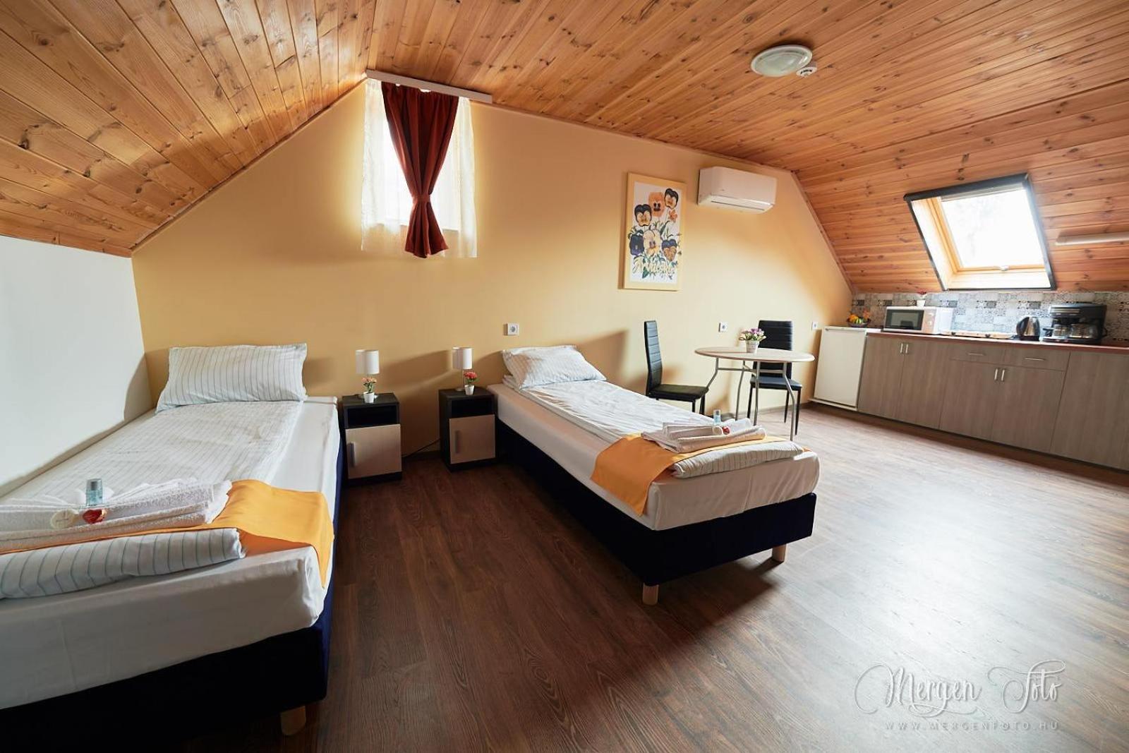 Large Twin Room photo 1