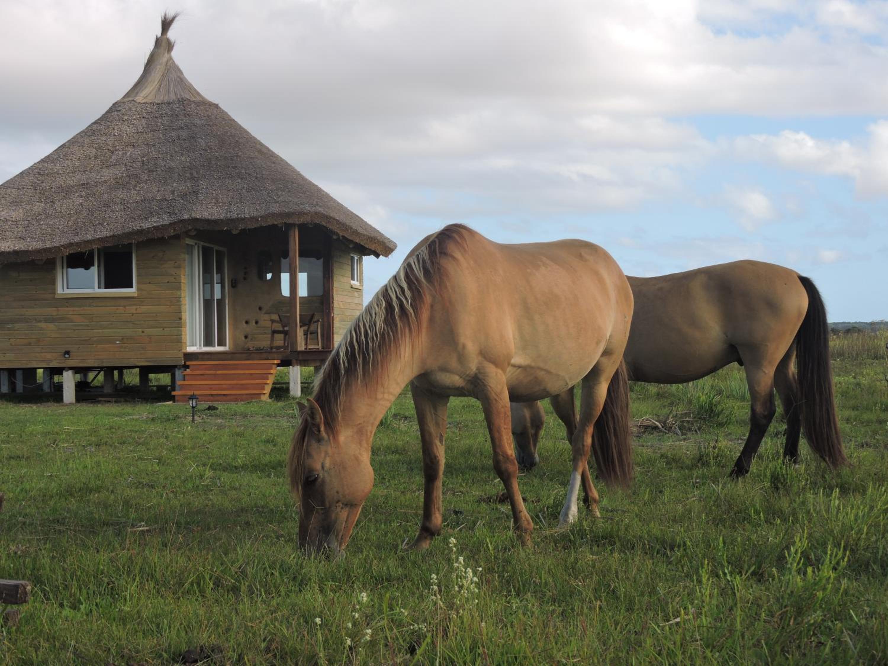 Family Bungalow photo 2