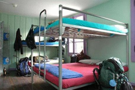 Single Bed in Dormitory Room photo 3