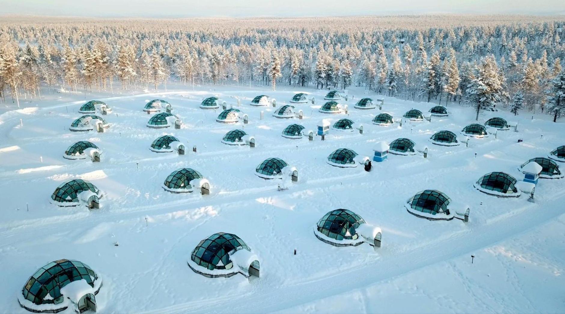 West Glass Igloo (2 Adults) photo 3