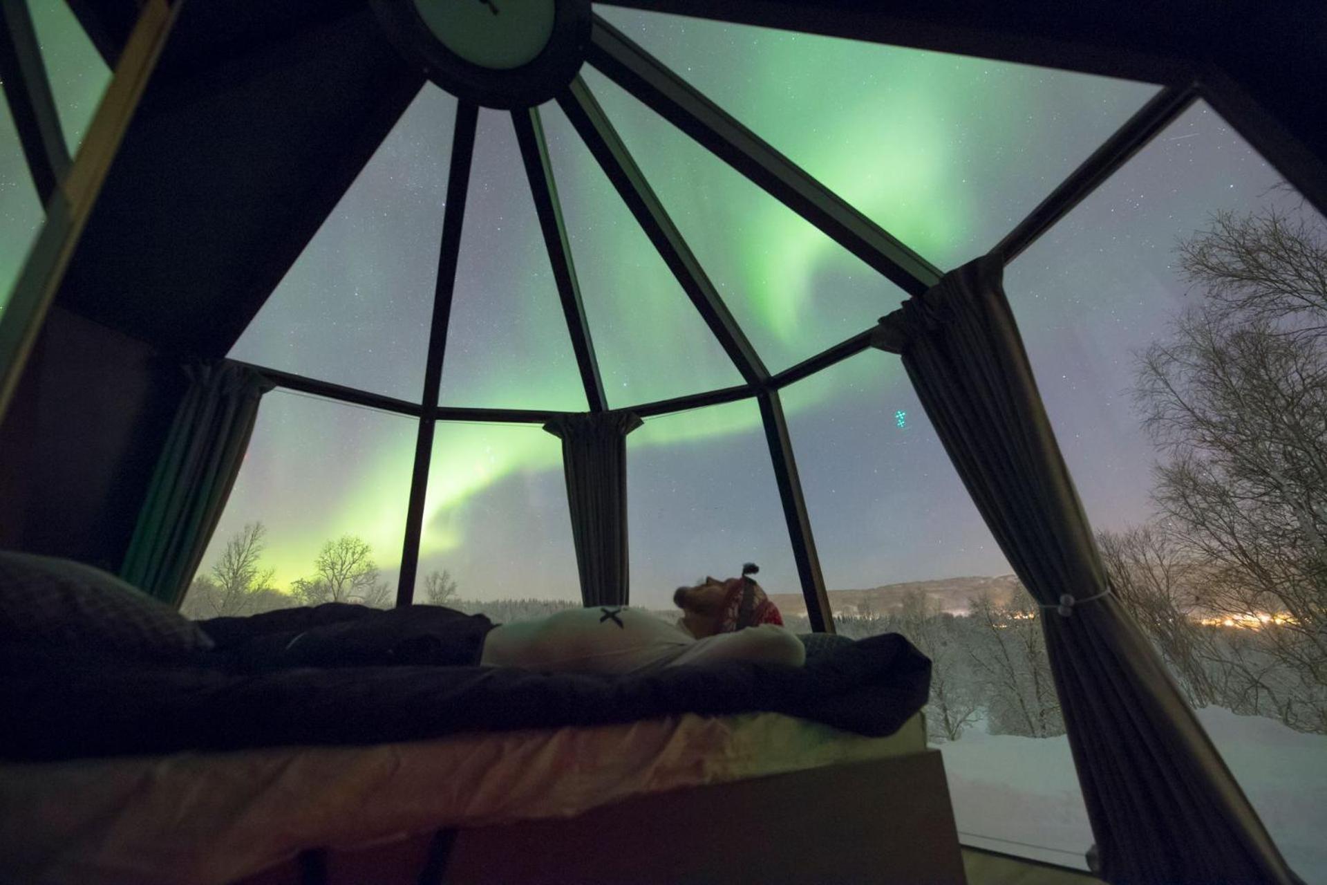 Aurora Hut - Photo 2