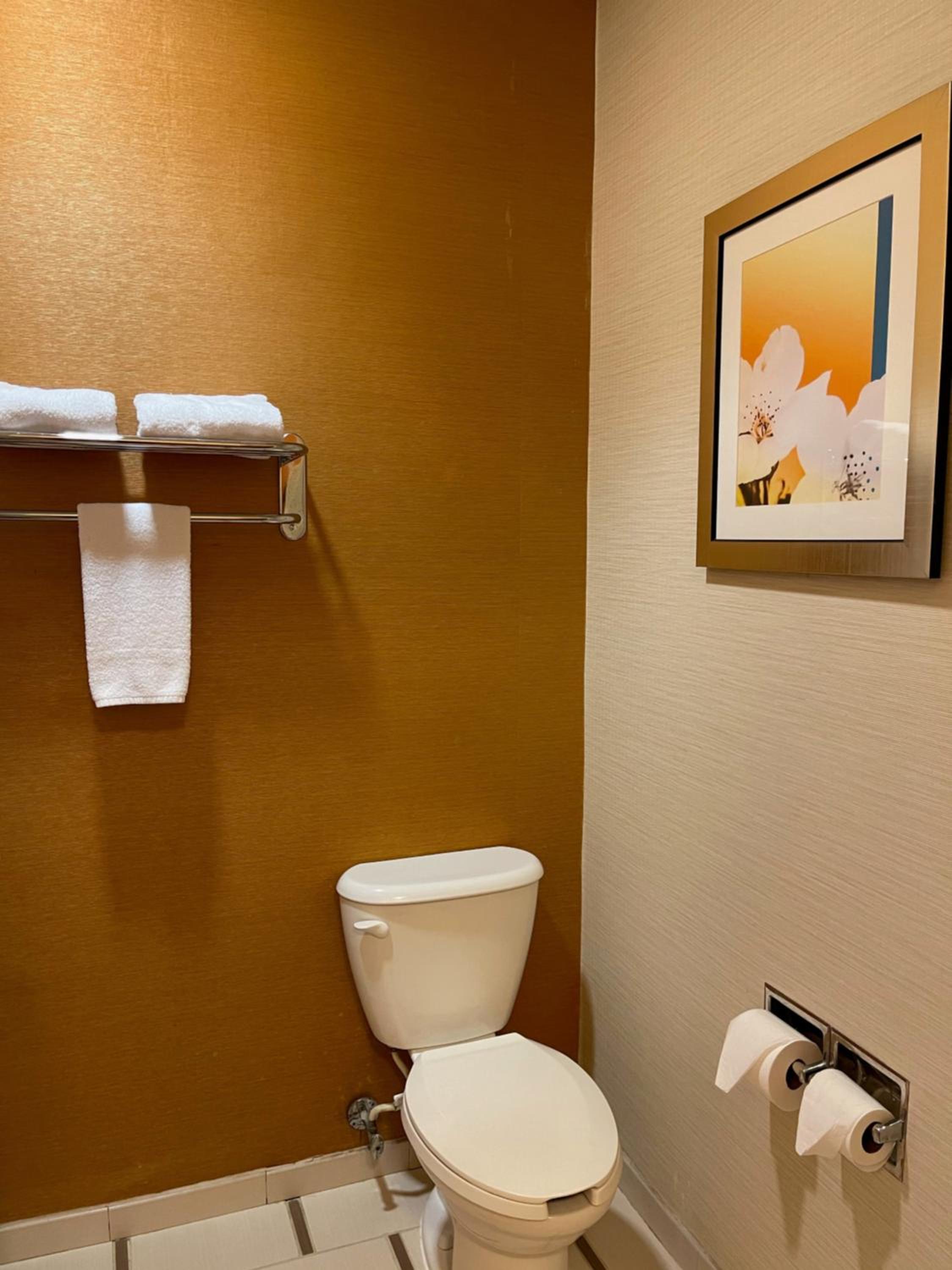 Deluxe King Studio Suite - Non-Smoking - Photo 5
