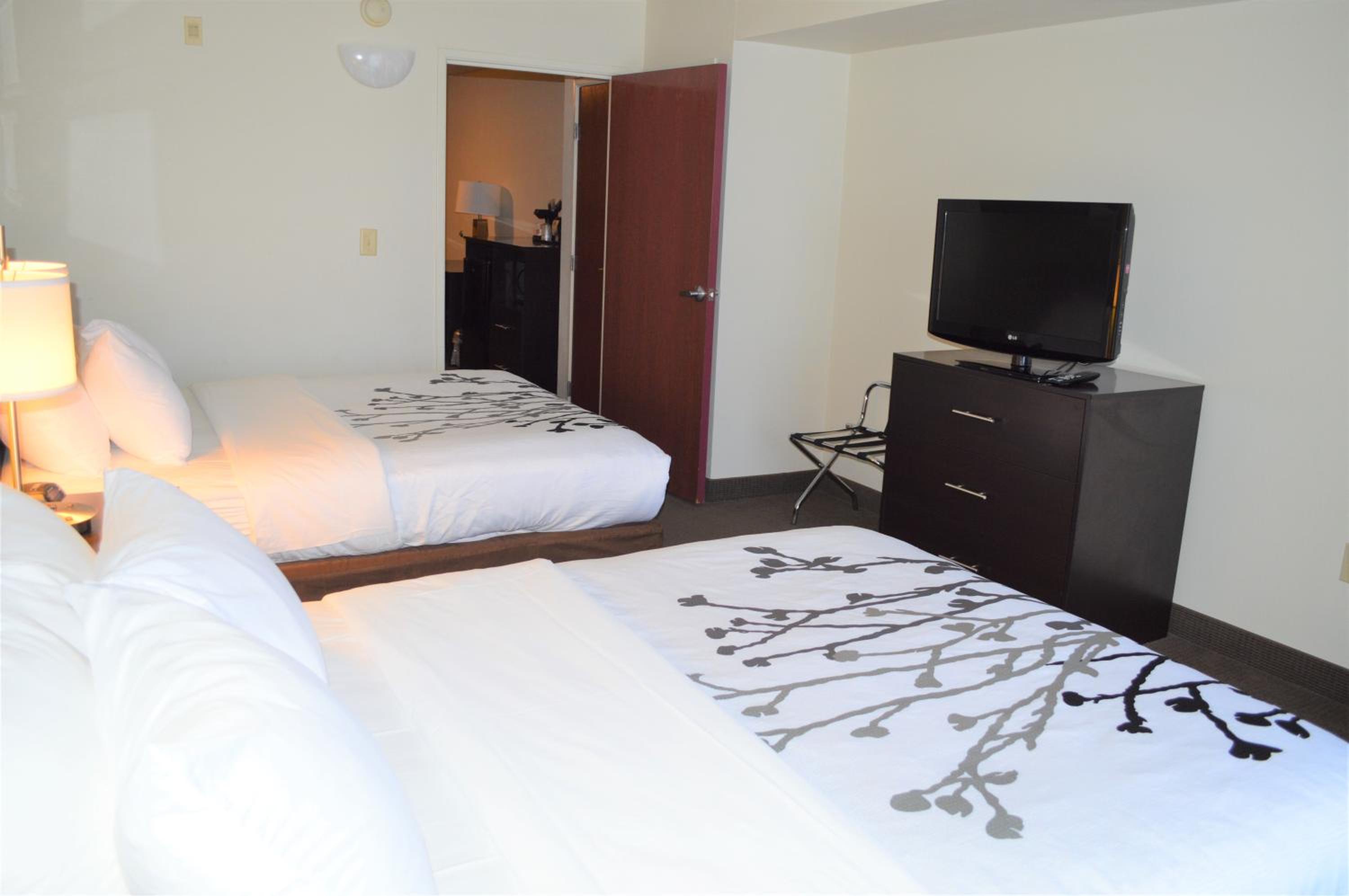 Queen Suite with Two Queen Beds - Non-Smoking - Photo 2