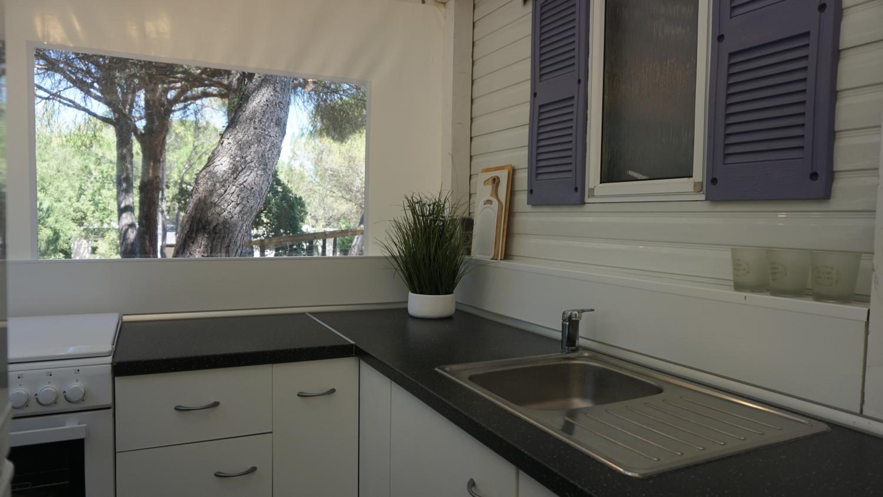 Mobile Home photo 2