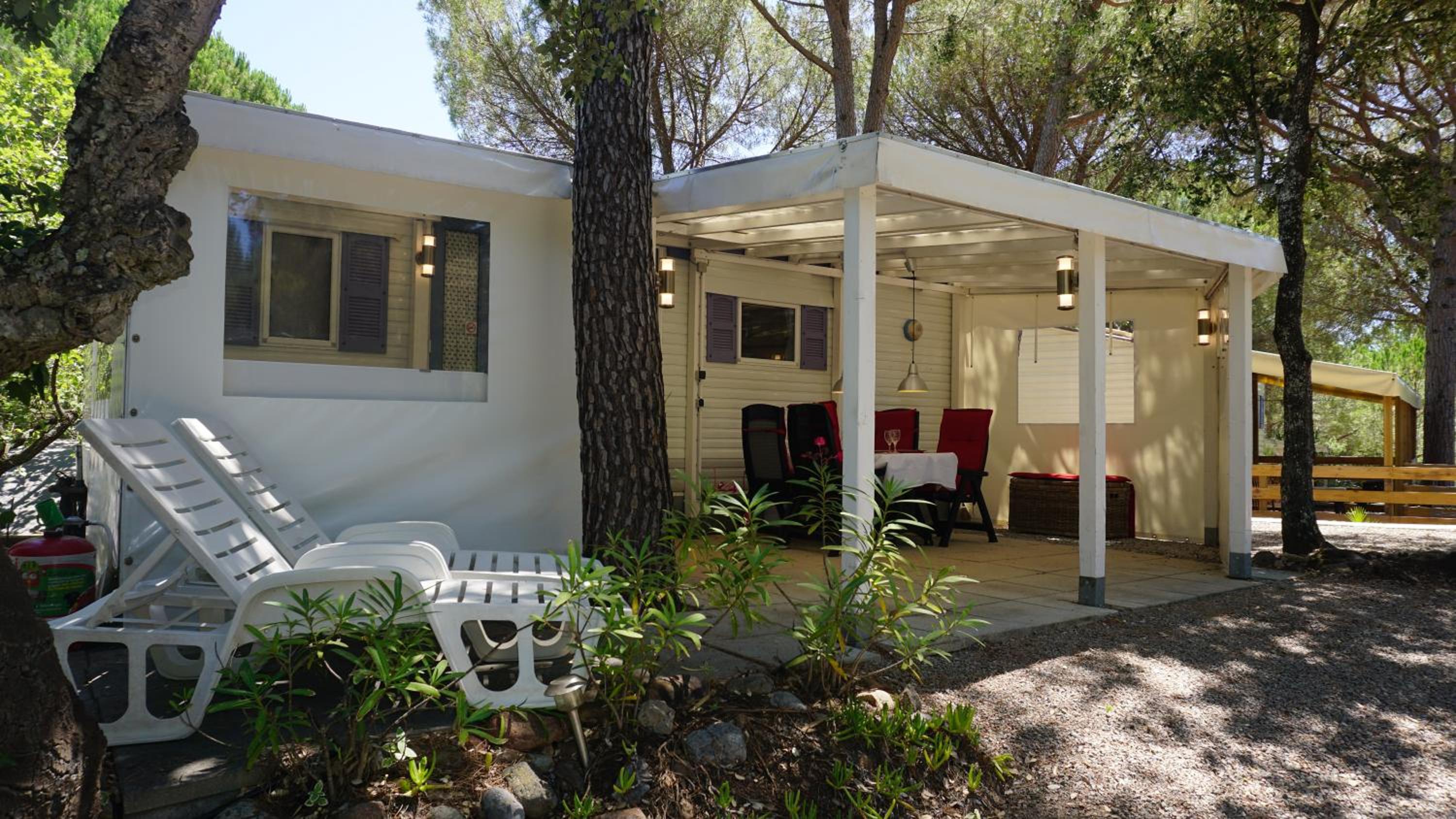 Mobile Home photo 1