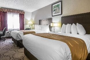 Superior King Suite - Non Smoking photo 3
