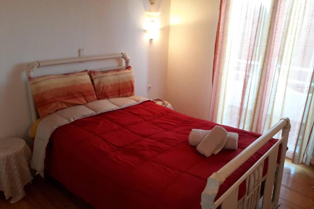 One-Bedroom House photo 2