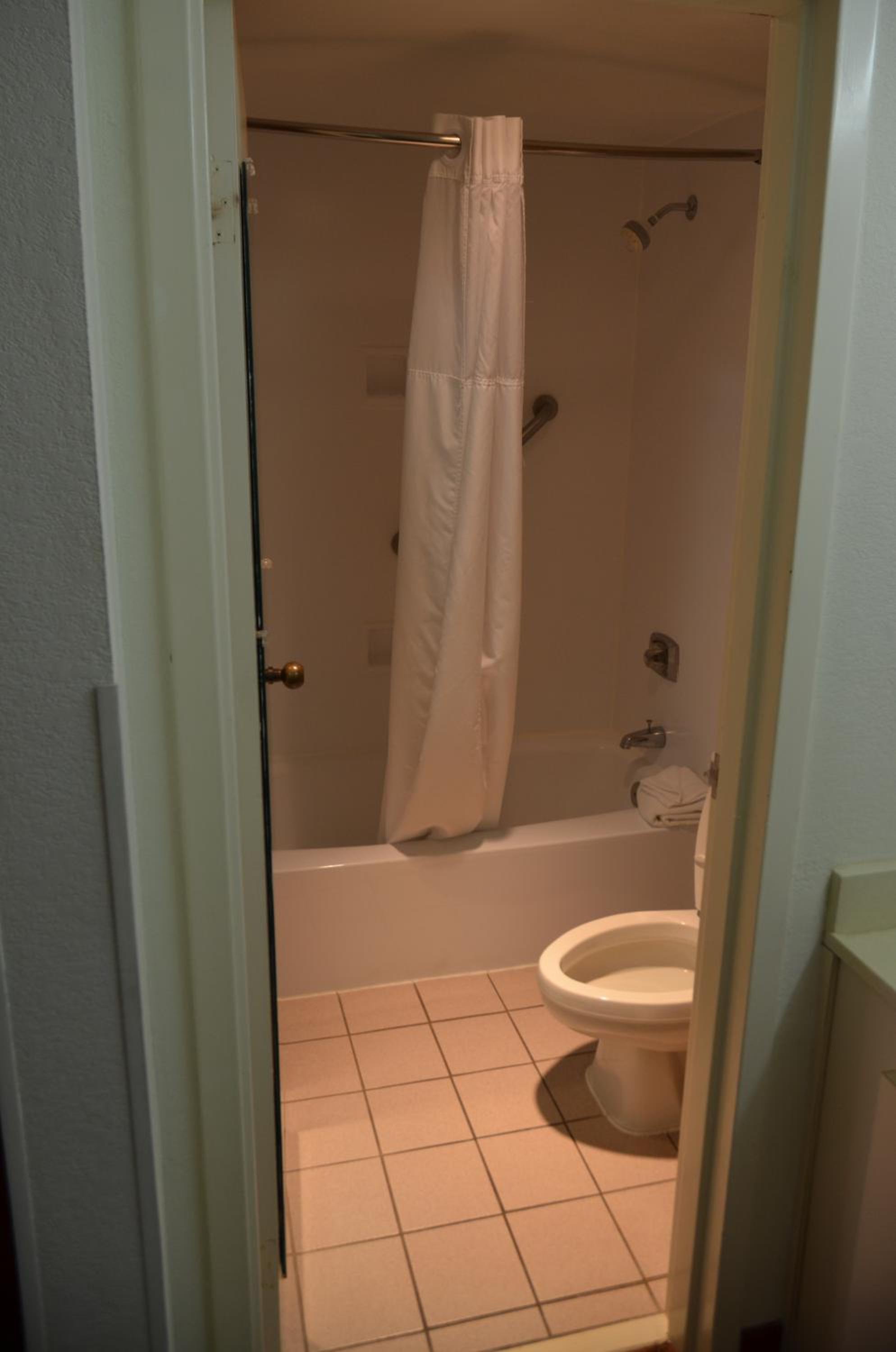 Deluxe One-Bedroom Suite- Non-Smoking - Photo 2