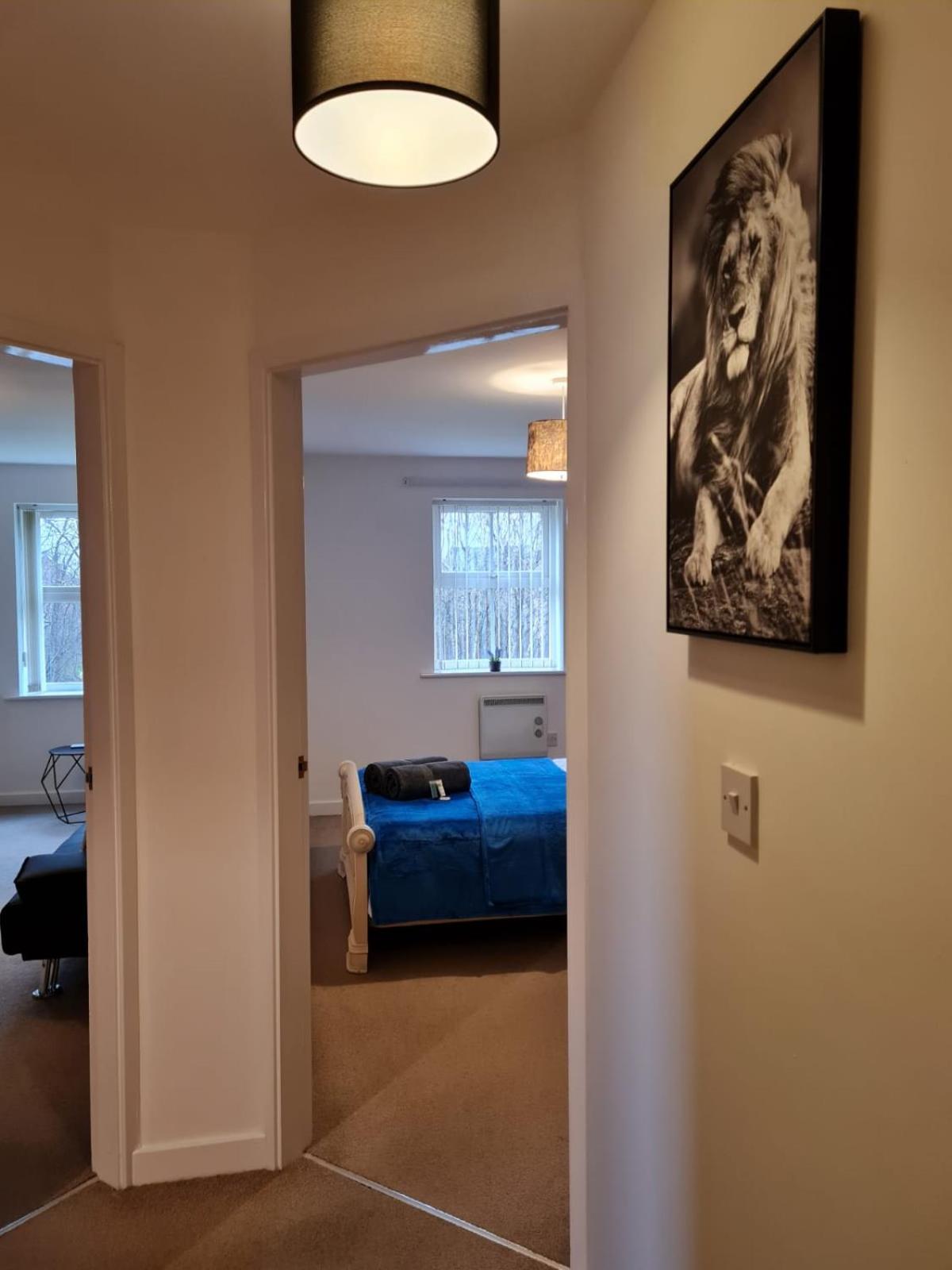 One-Bedroom Apartment photo 3