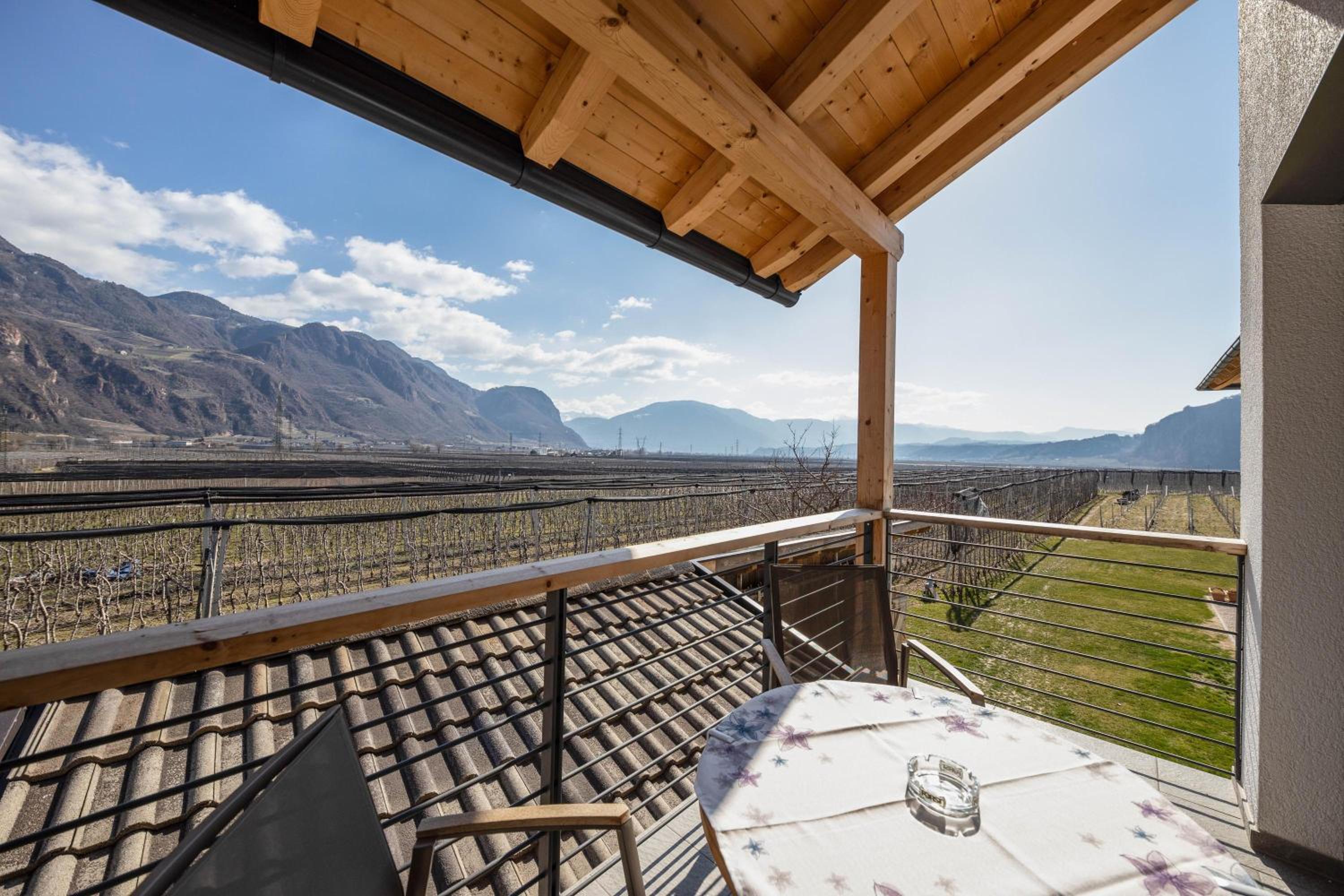 Superior One-Bedroom Apartment with Balcony - Photo 2