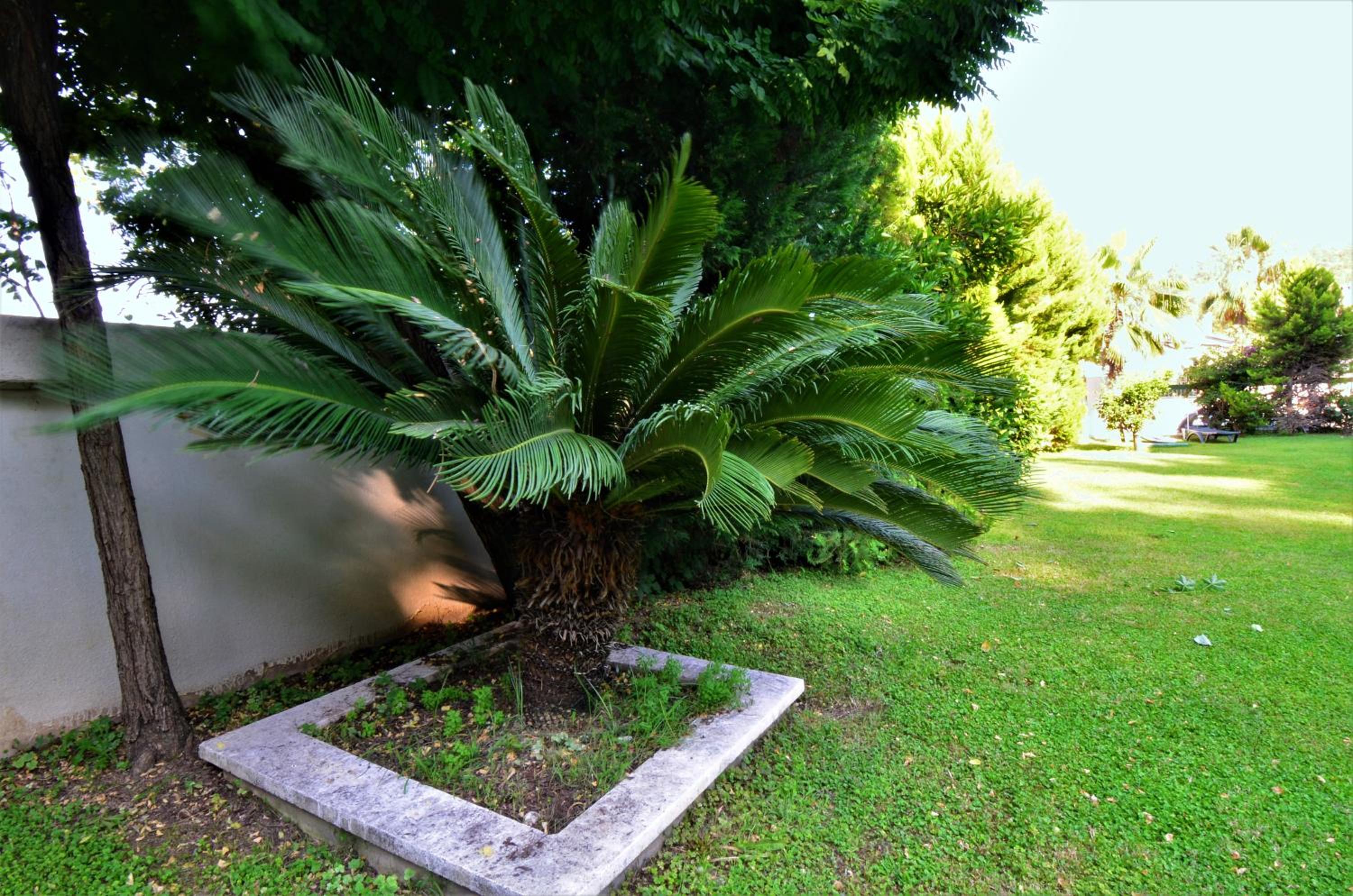 Villa - Photo 12