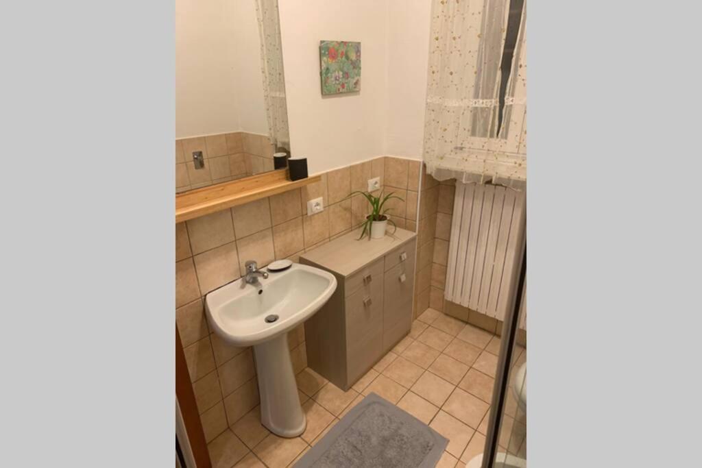 One-Bedroom Apartment photo 3