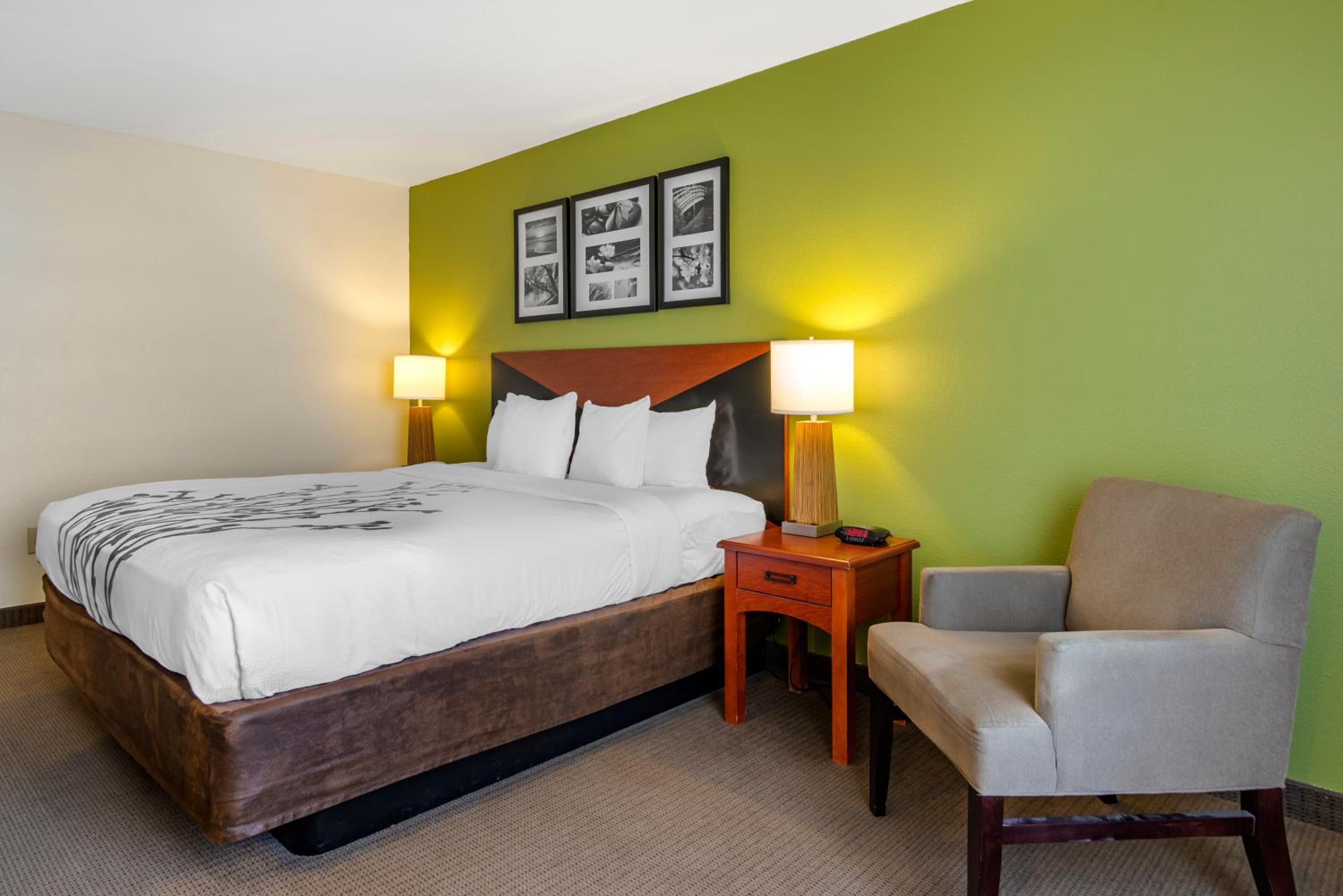 King Room - Non-Smoking - Photo 6