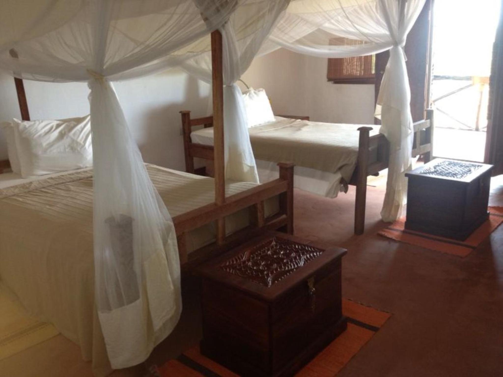 Twin Room photo 2
