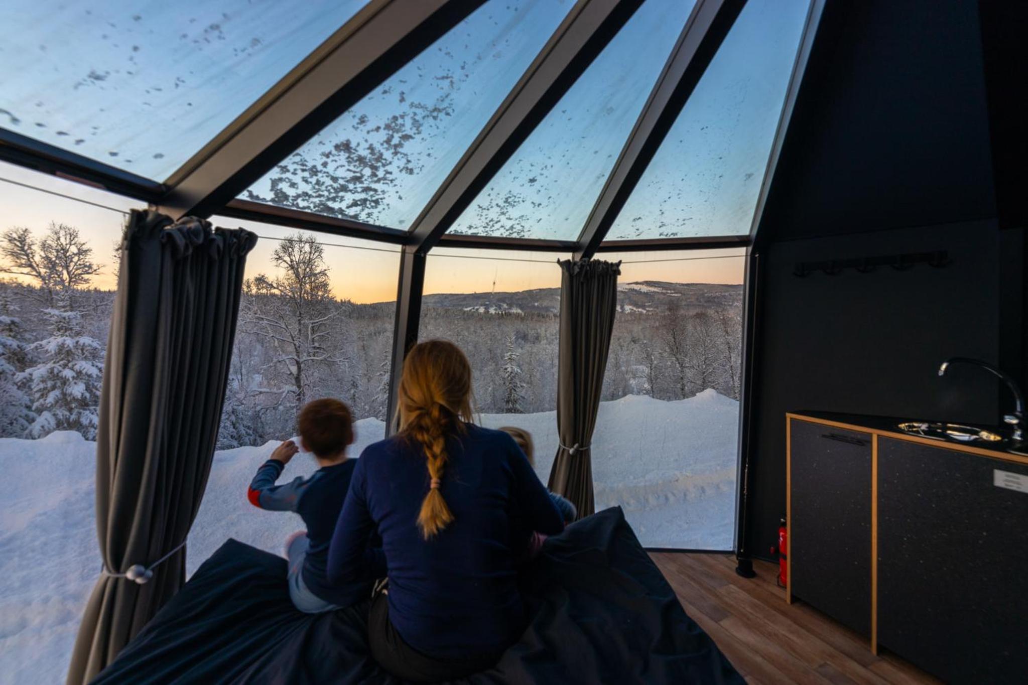 Aurora Hut - Photo 1