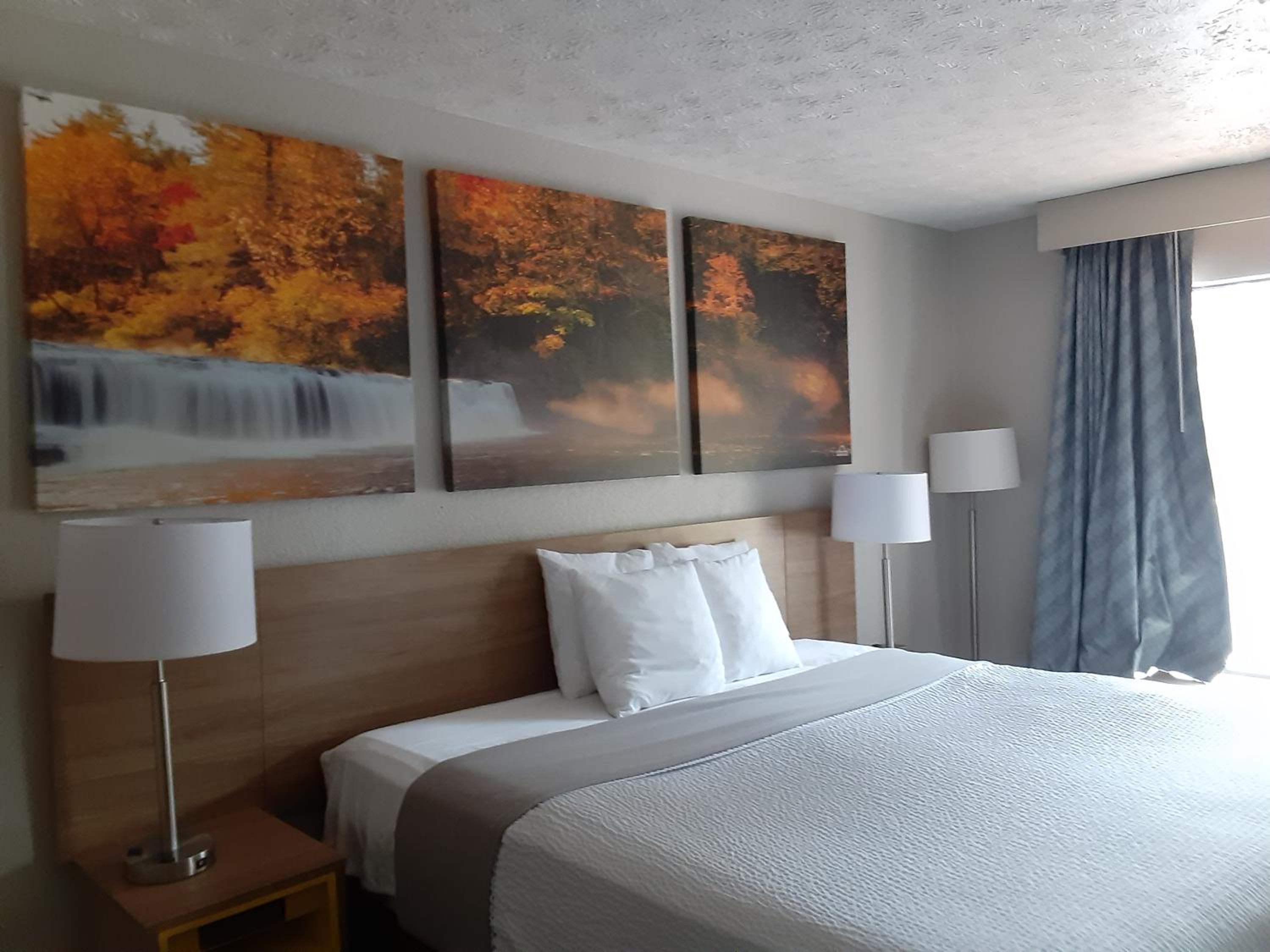 Deluxe King Suite photo 1