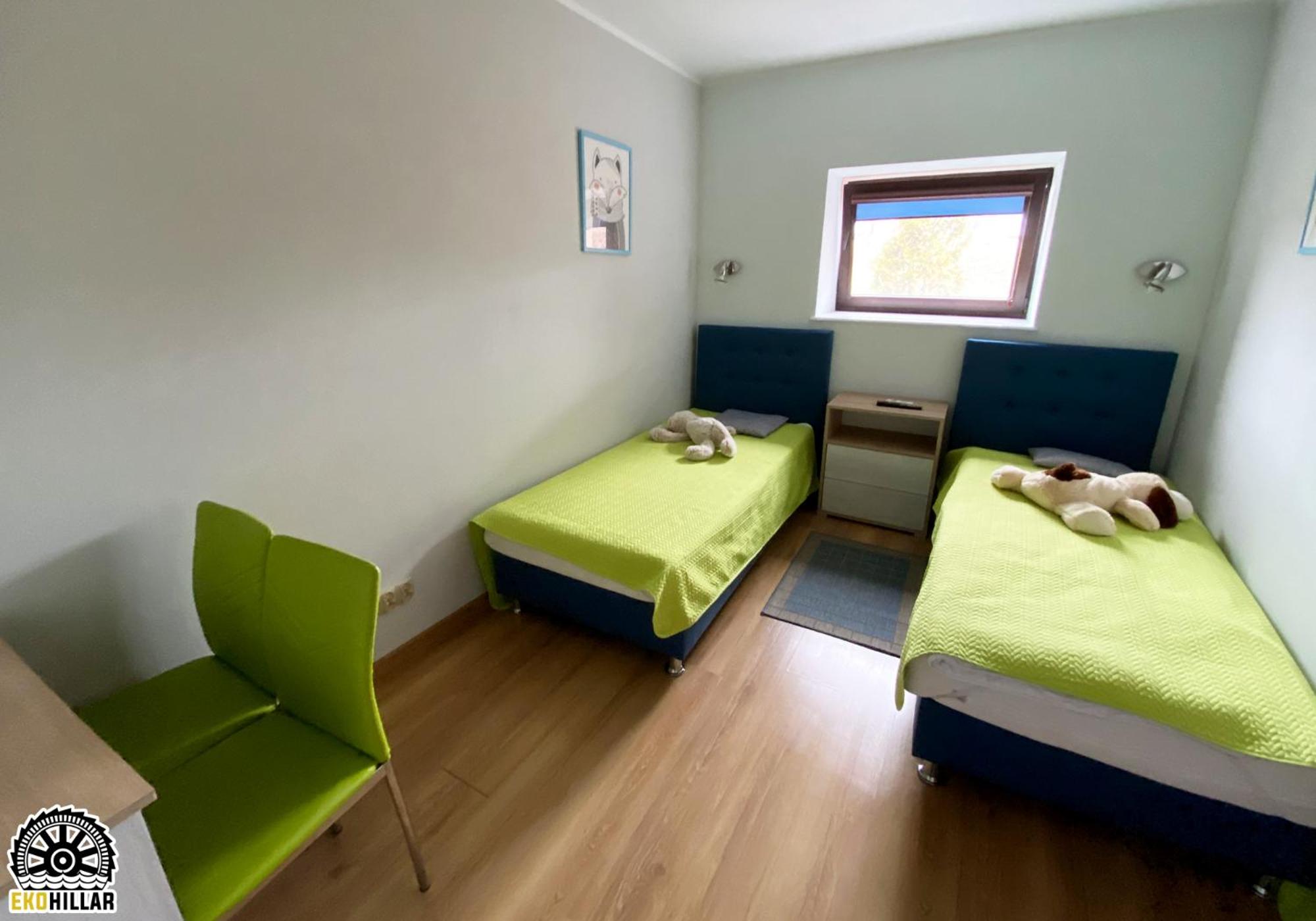 Apartment with Terrace photo 3