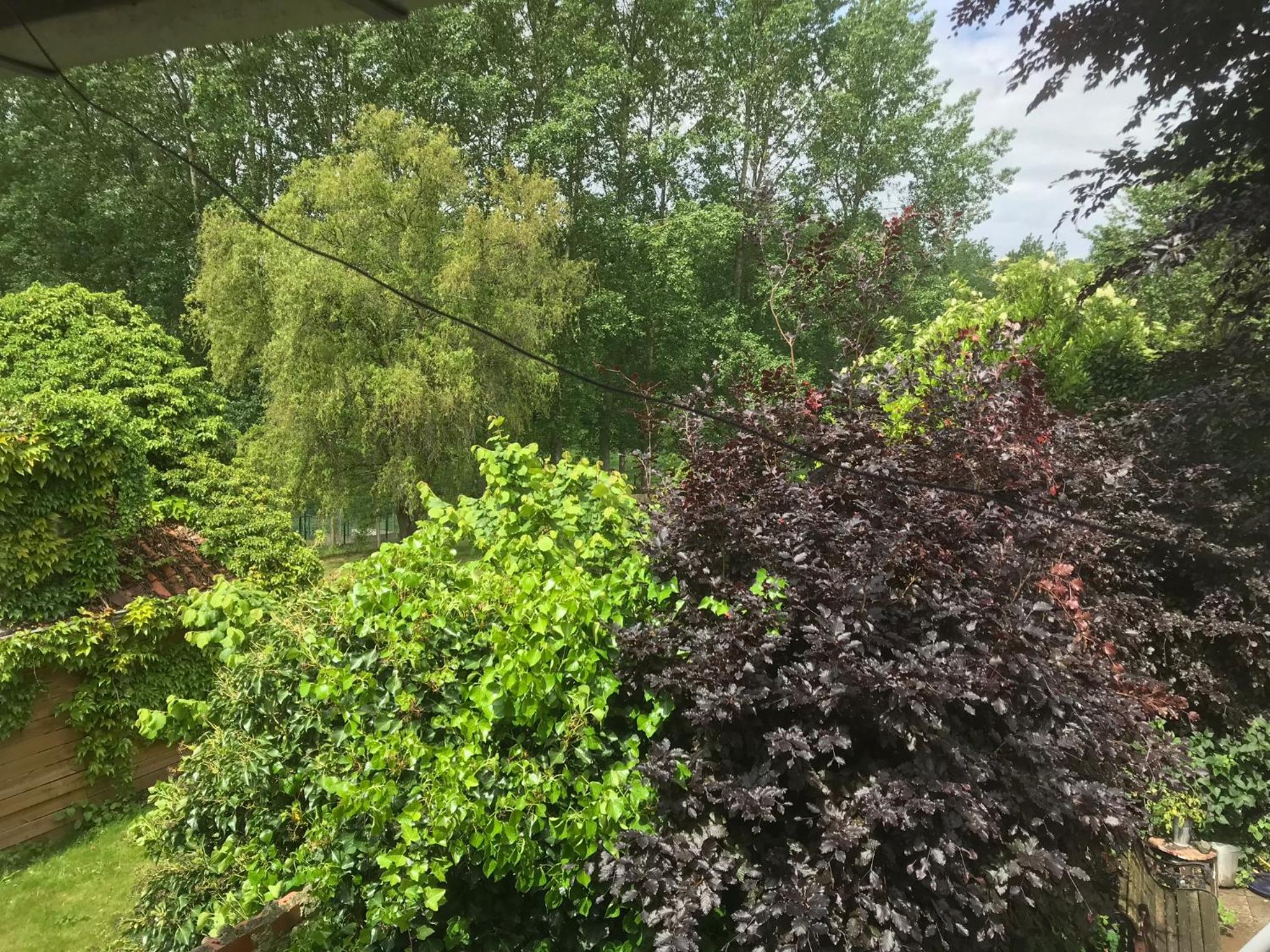 Studio with Garden View photo 2