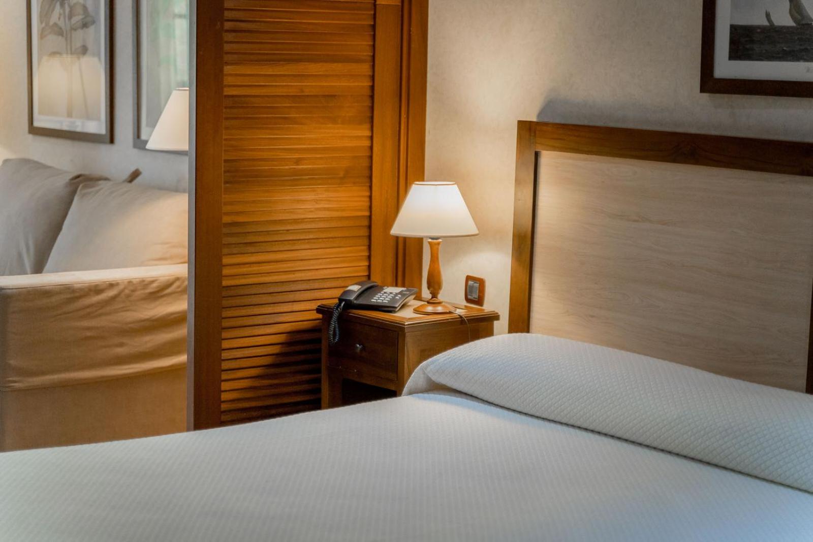 Suite Junior de Lujo (3 adultos + 1 niño)