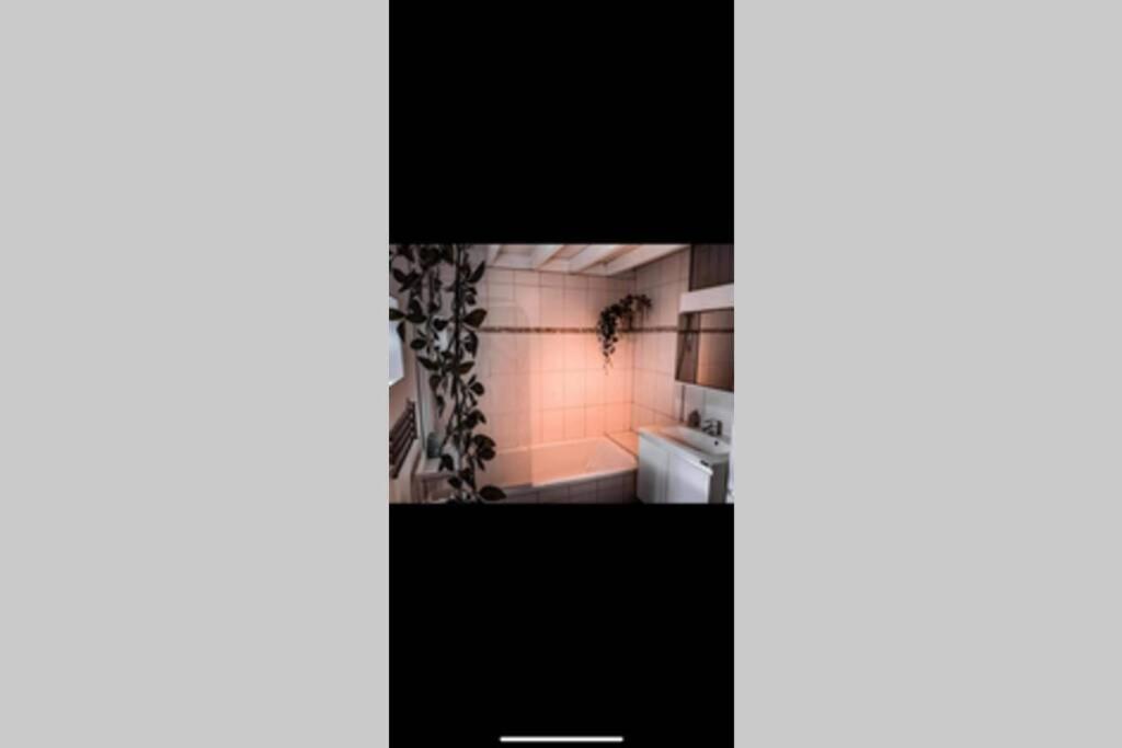 One-Bedroom Apartment - Photo 2