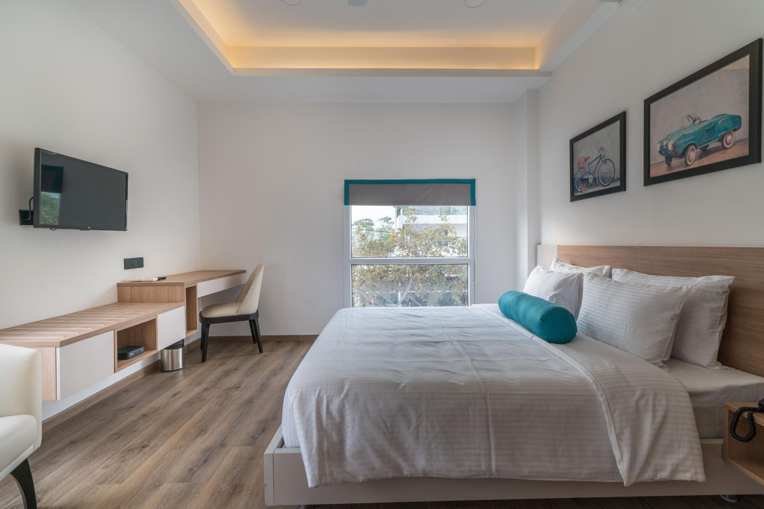 Premier Room - Photo 8
