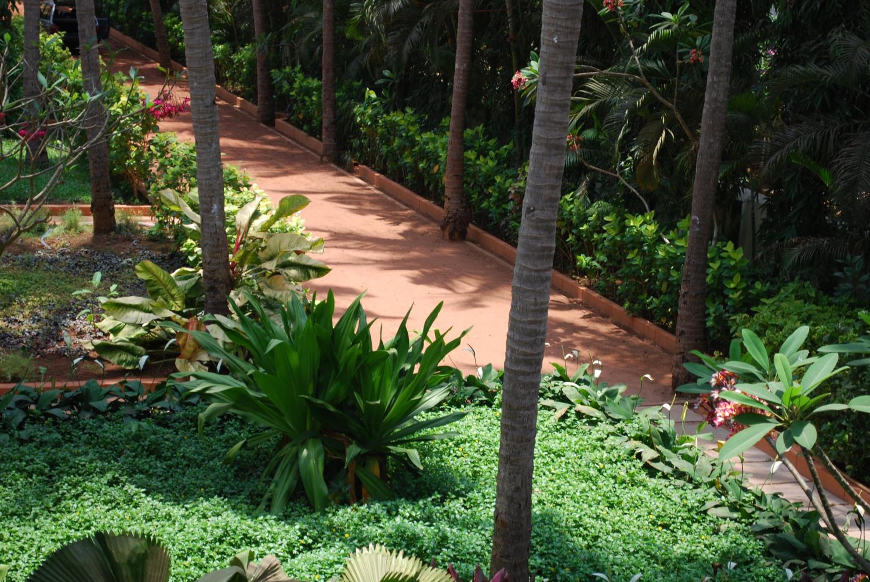 Suite with Garden View photo 2