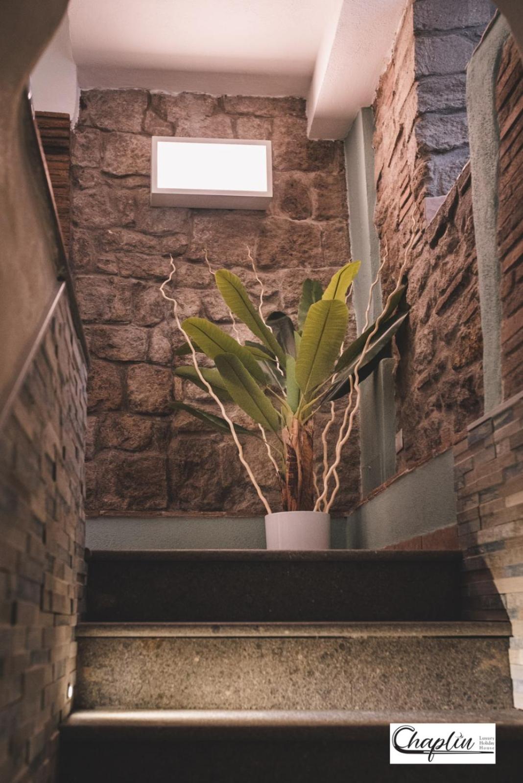 One-Bedroom House - Photo 6
