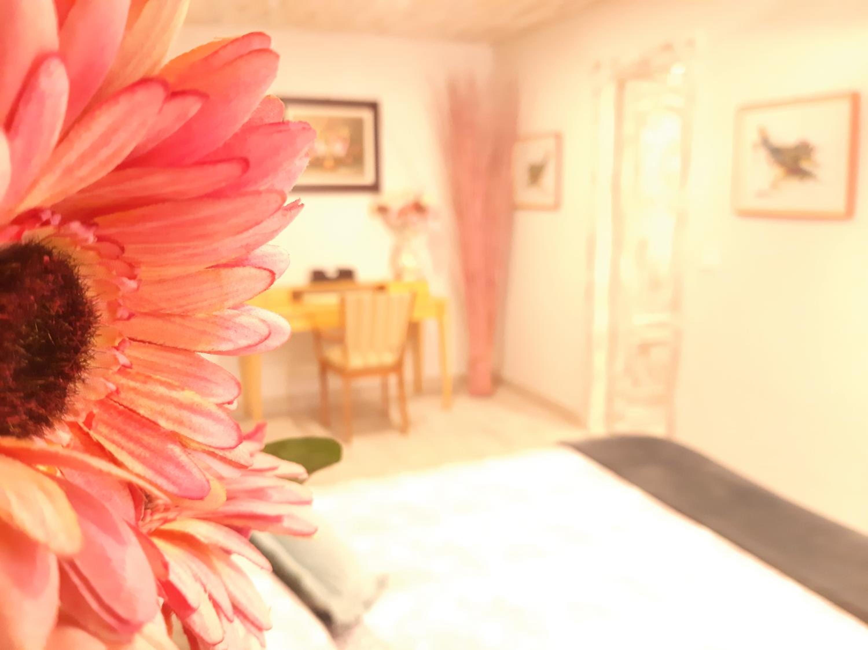 Habitación Doble con Baño Privado