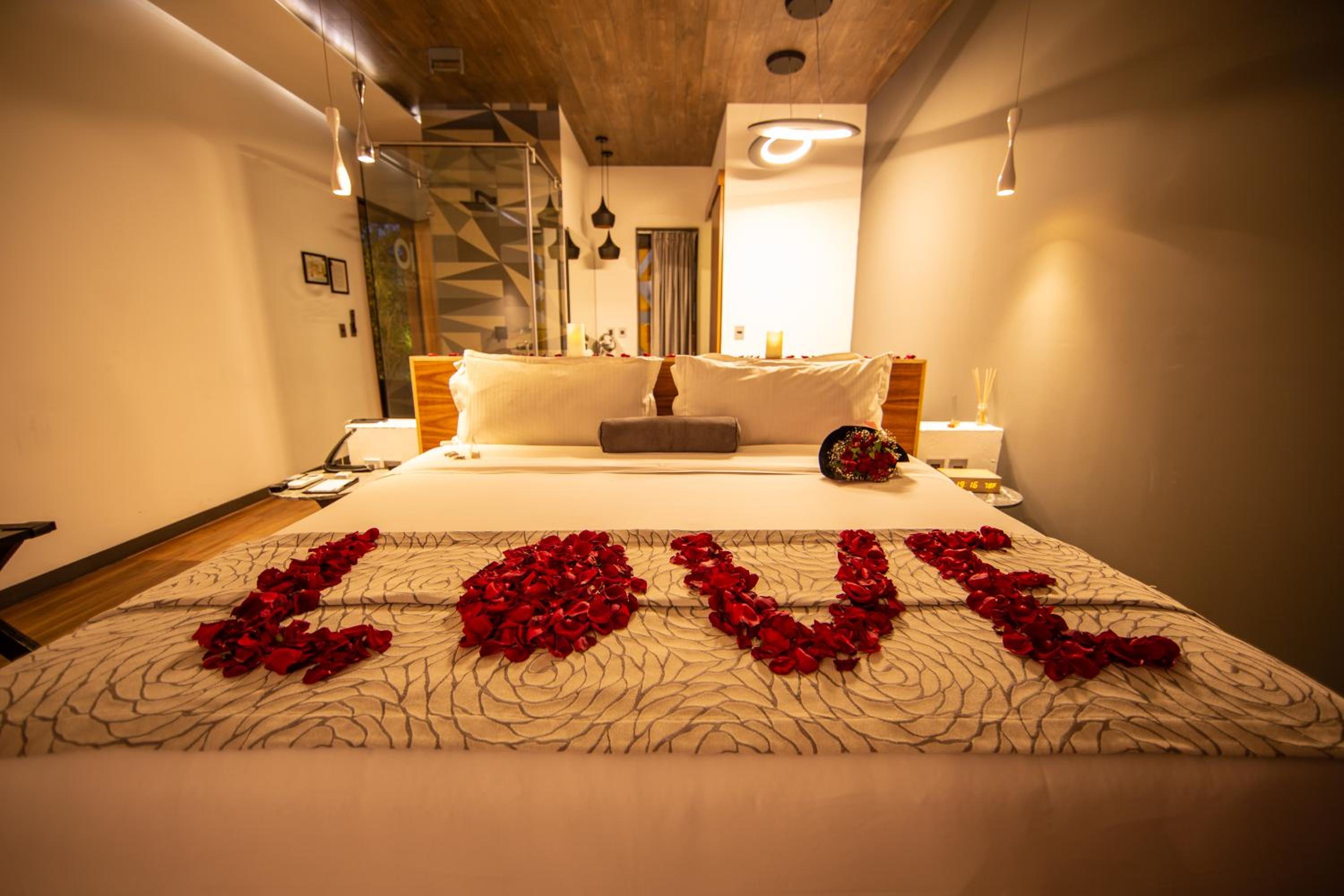 Master Suite with Terrace - Photo 6