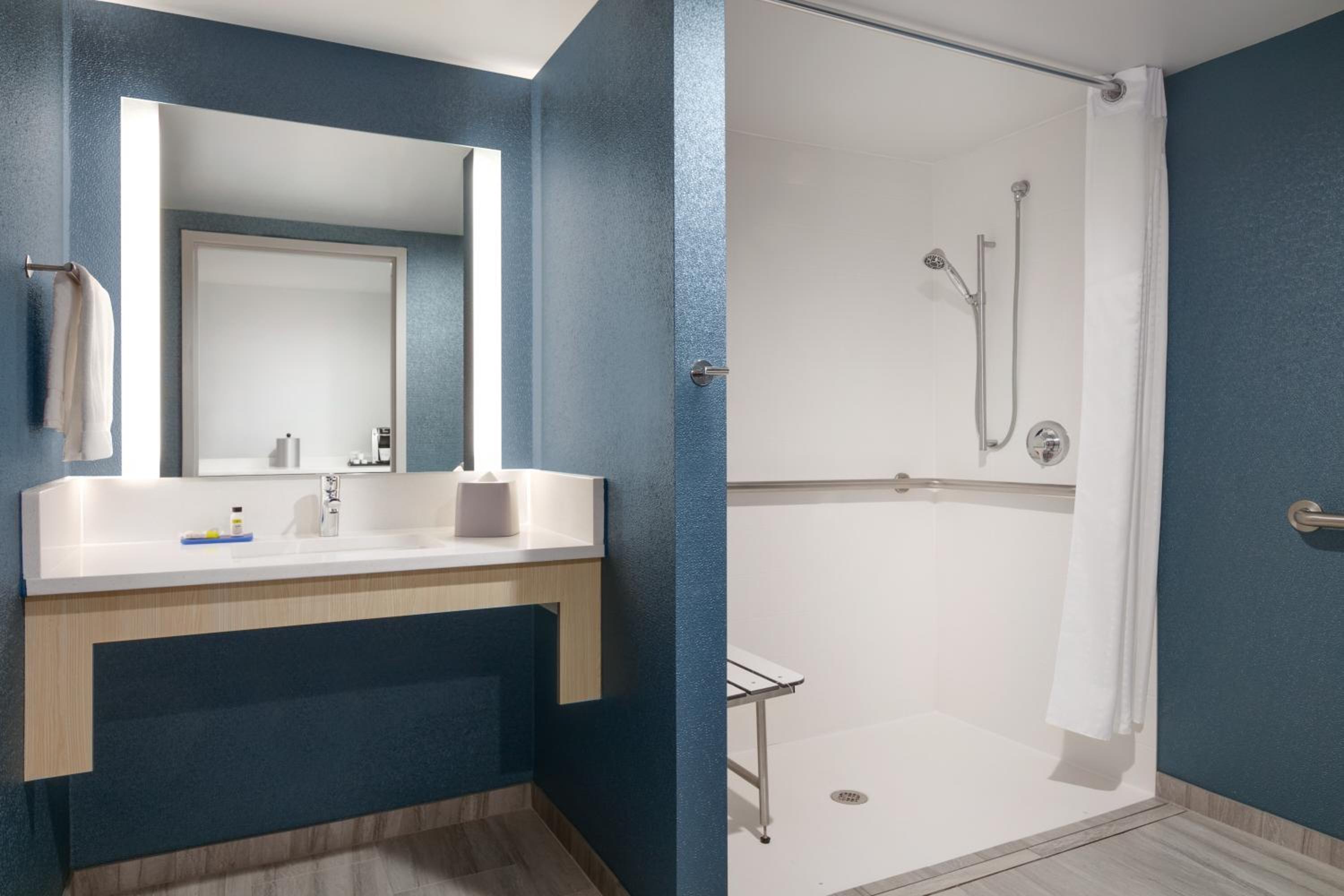 One-Bedroom Suite with King Bed Mobility Access Tub - Non-Smoking - Photo 8