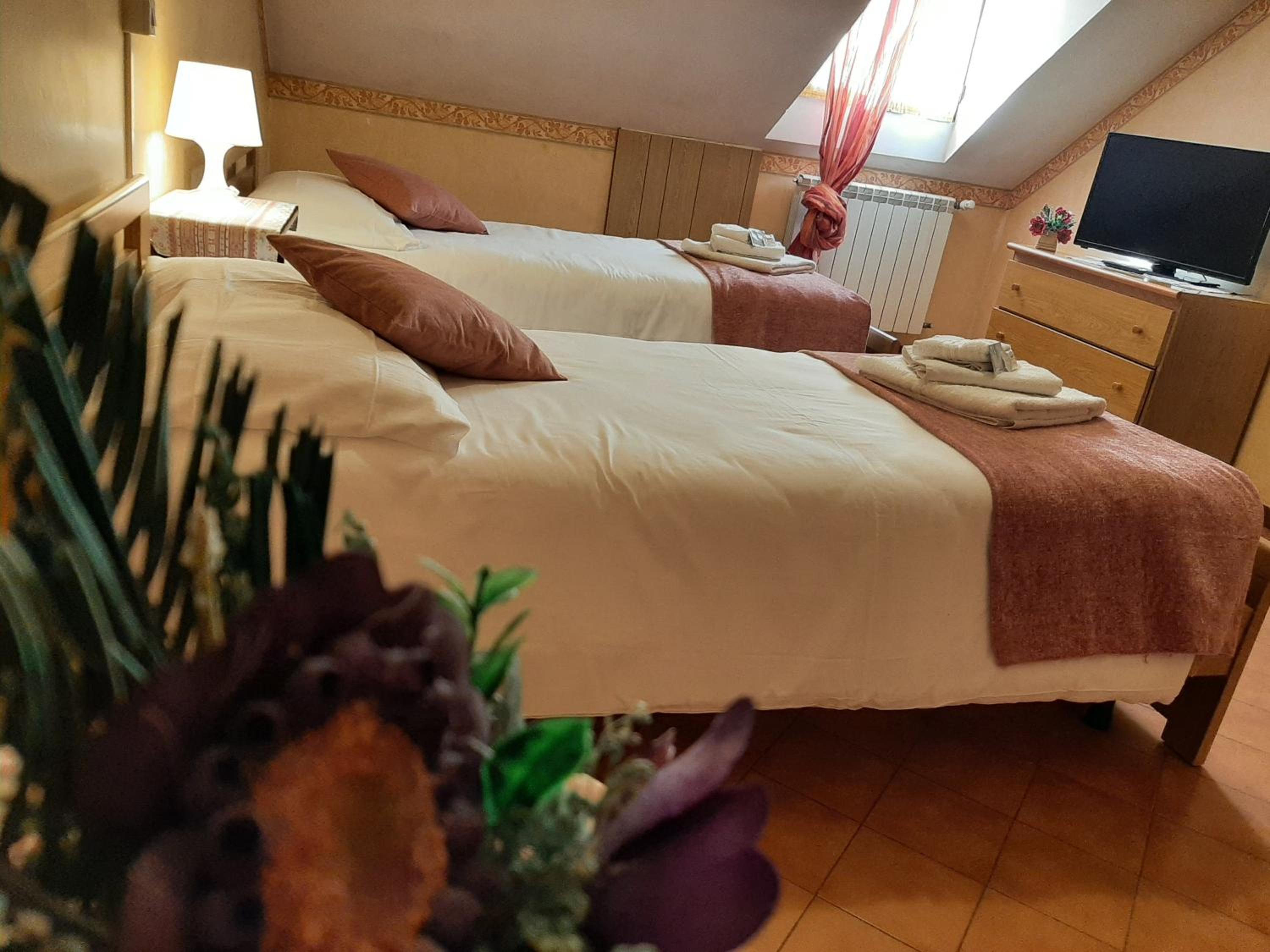 Deluxe Double Room photo 3