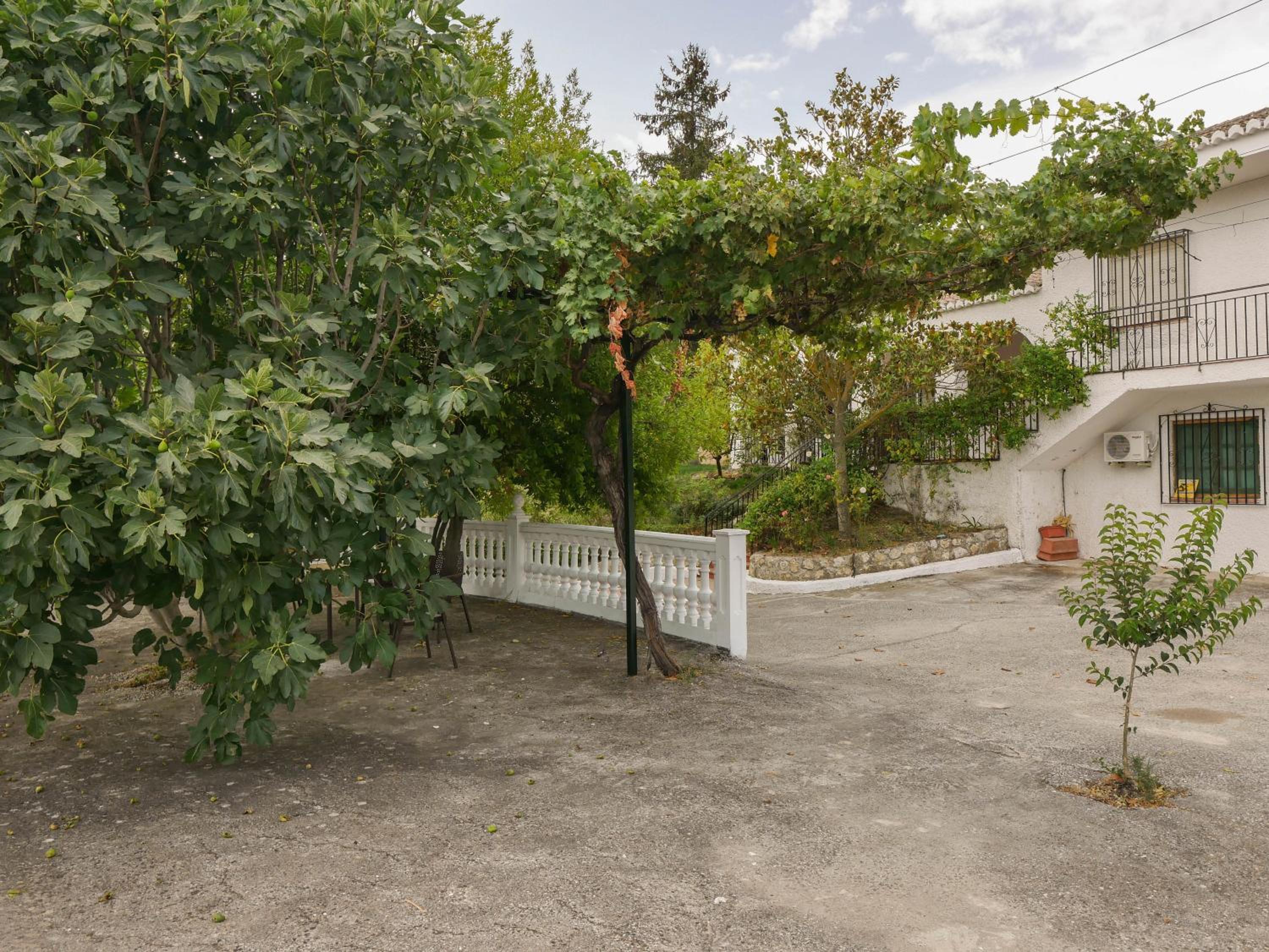 Four-Bedroom House - Photo 16