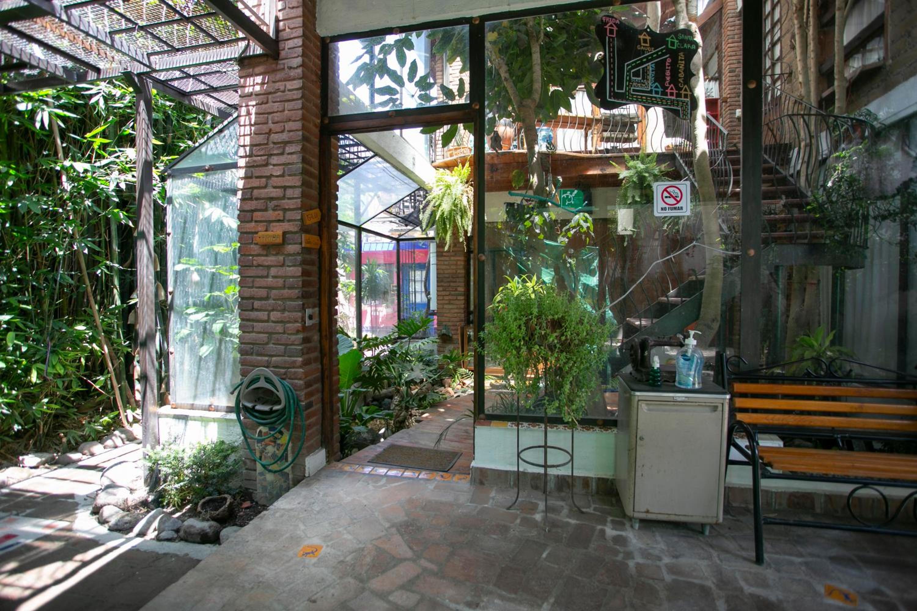 Apartment with Terrace photo 3