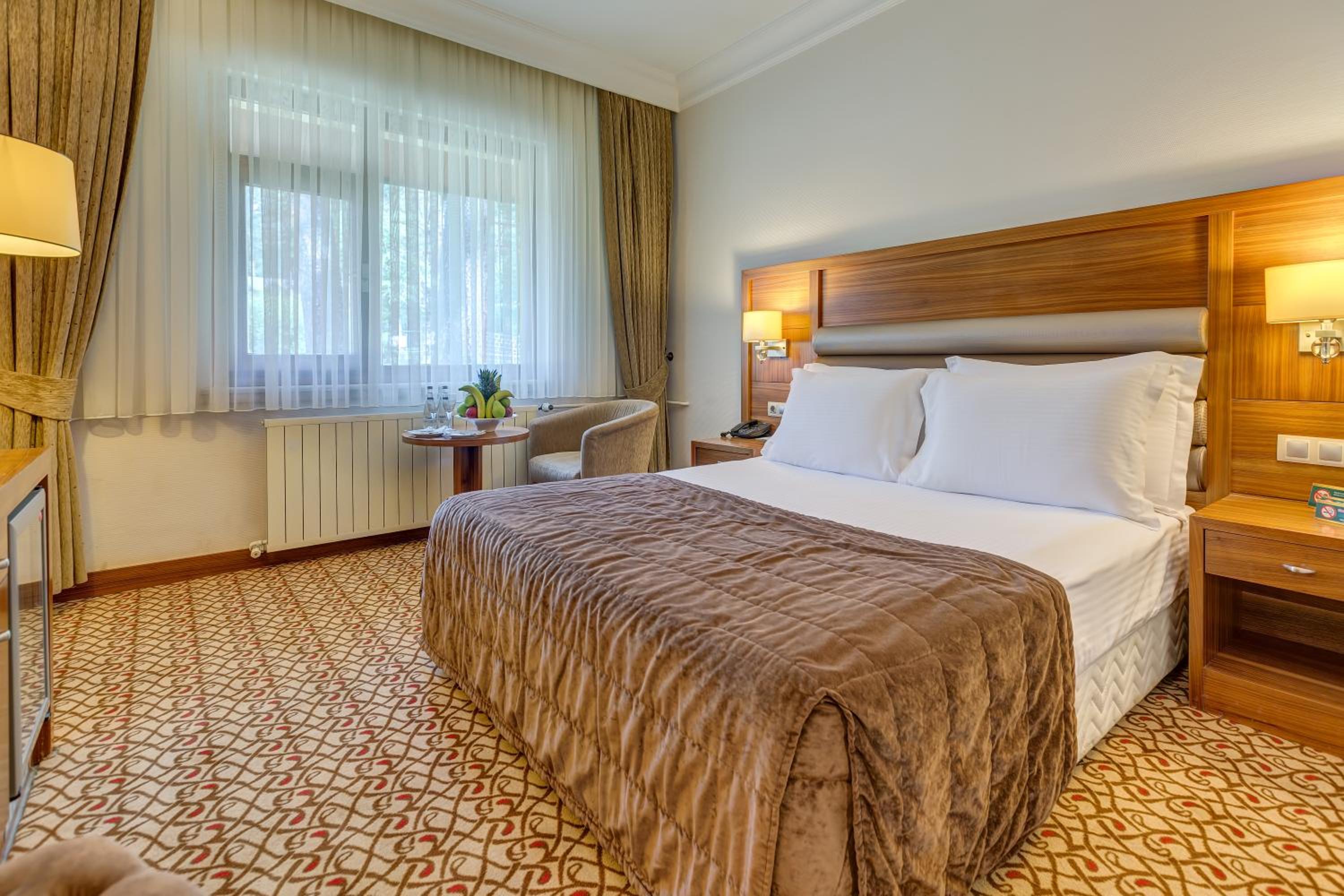 Standard Double Room with Mountain Side
