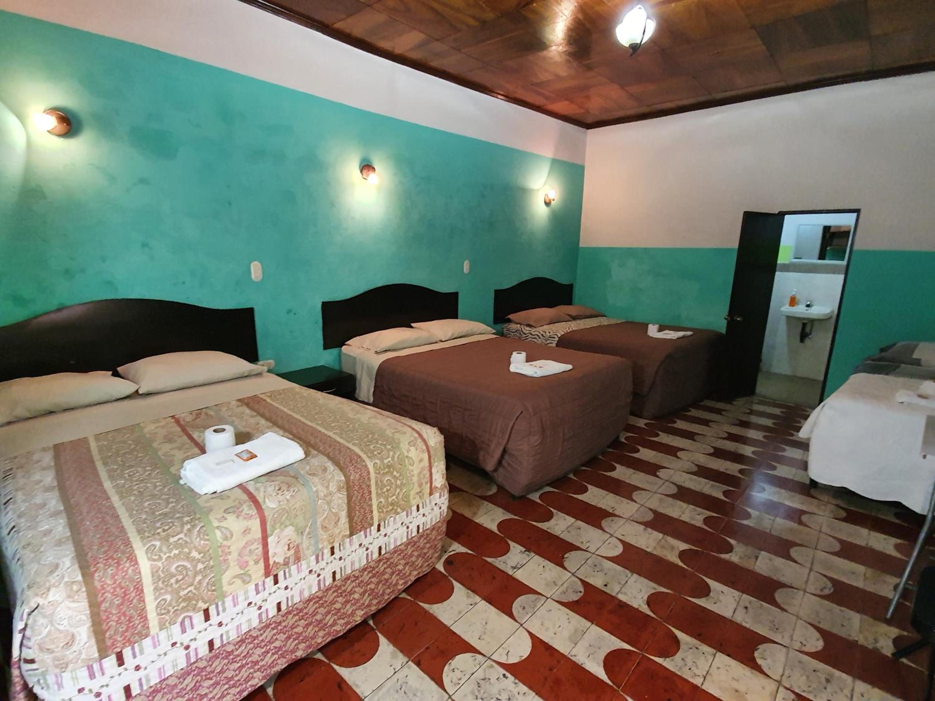 Premium Quadruple Room photo 1
