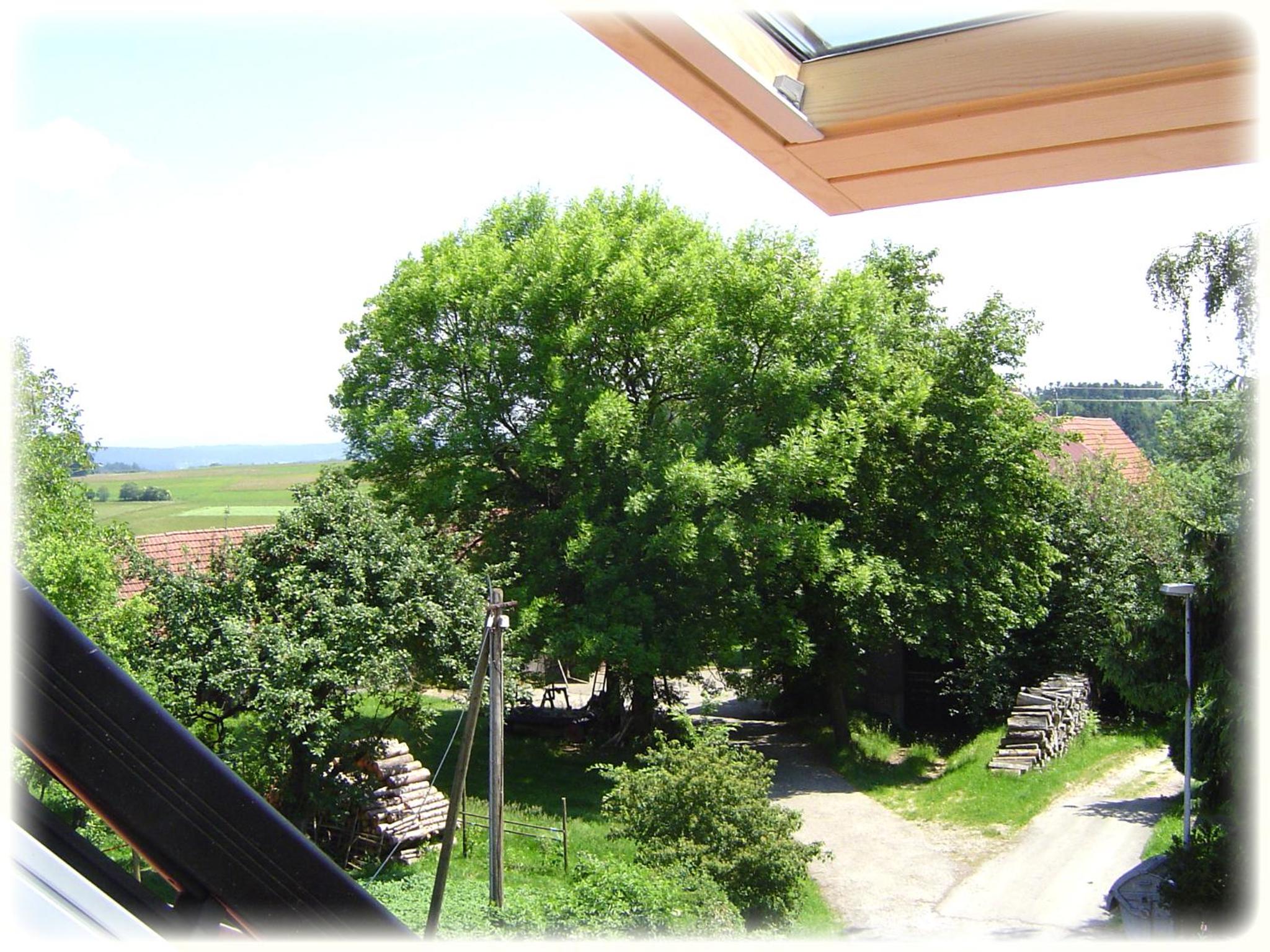 Standard Double Room - Photo 4