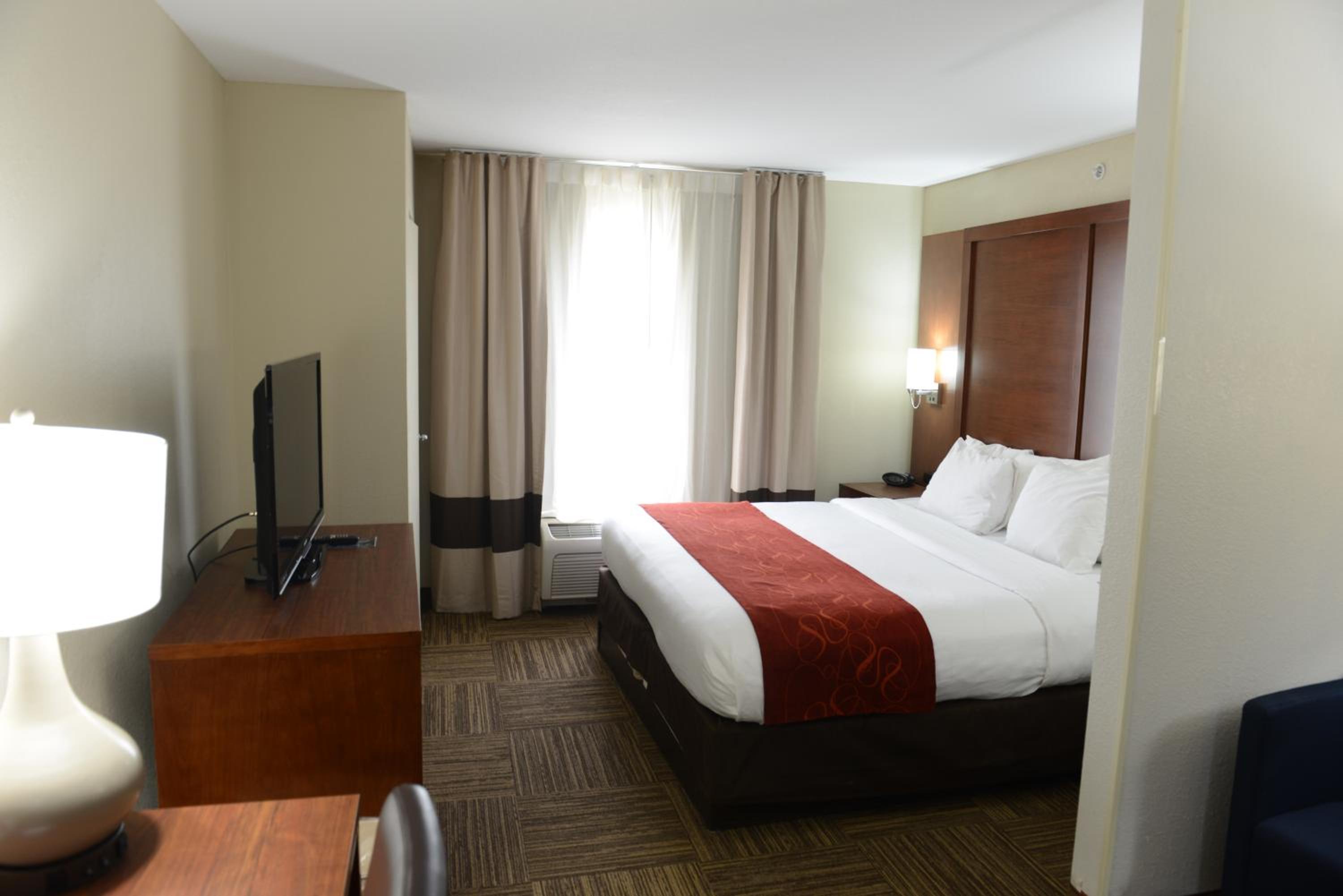 King Suite - Non-Smoking - Photo 6