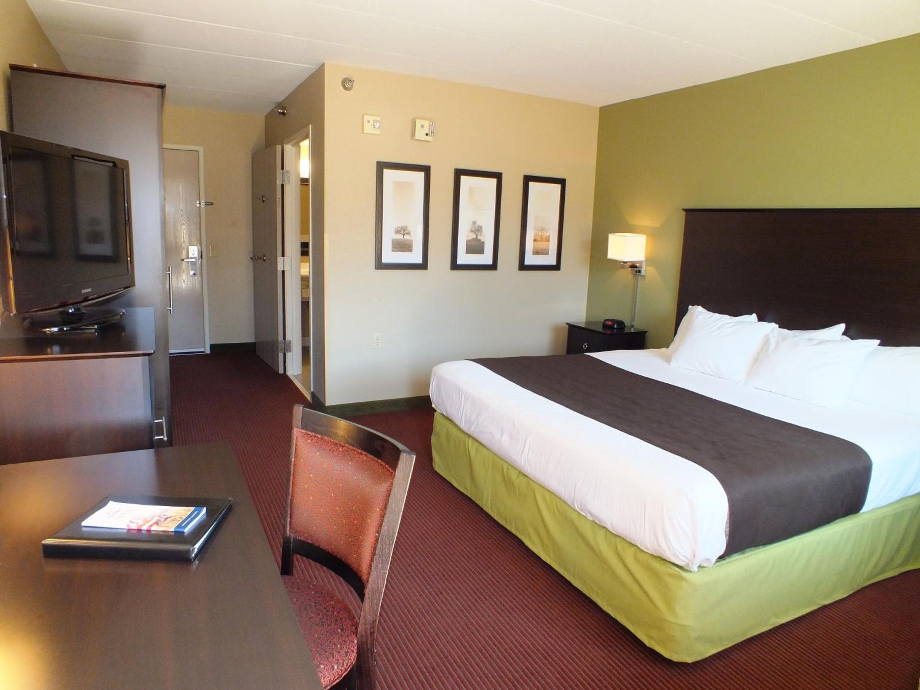 King Room - Non-Smoking - Photo 4