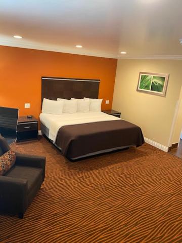 Junior Suite photo 1