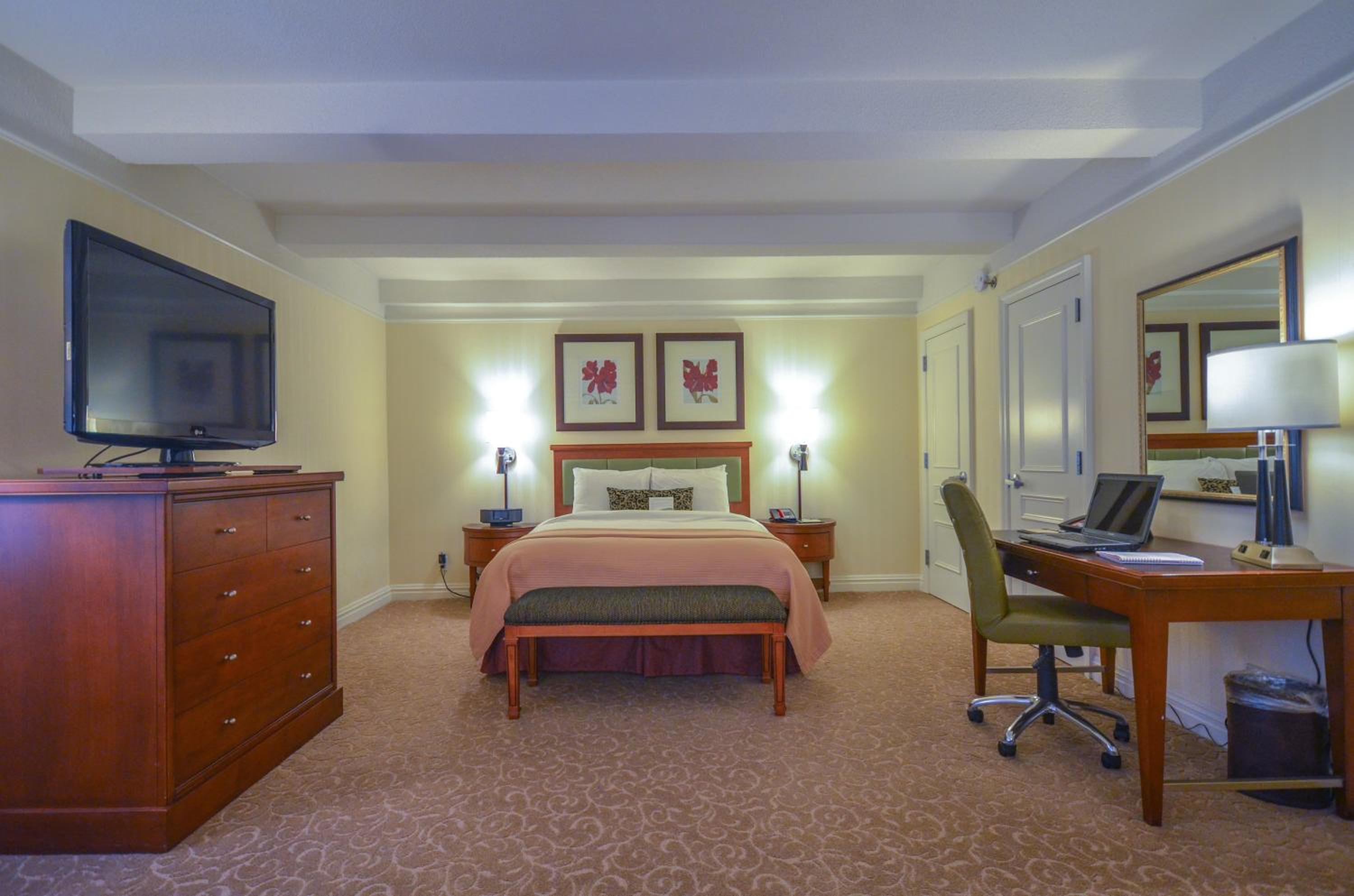 Executive Junior Queen Suite