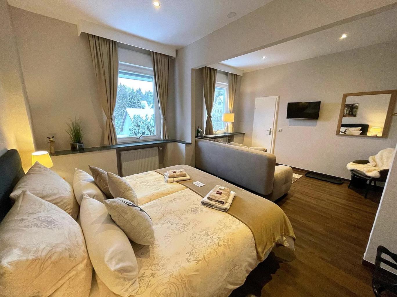 Large Double Room with Sofa Bed photo 2