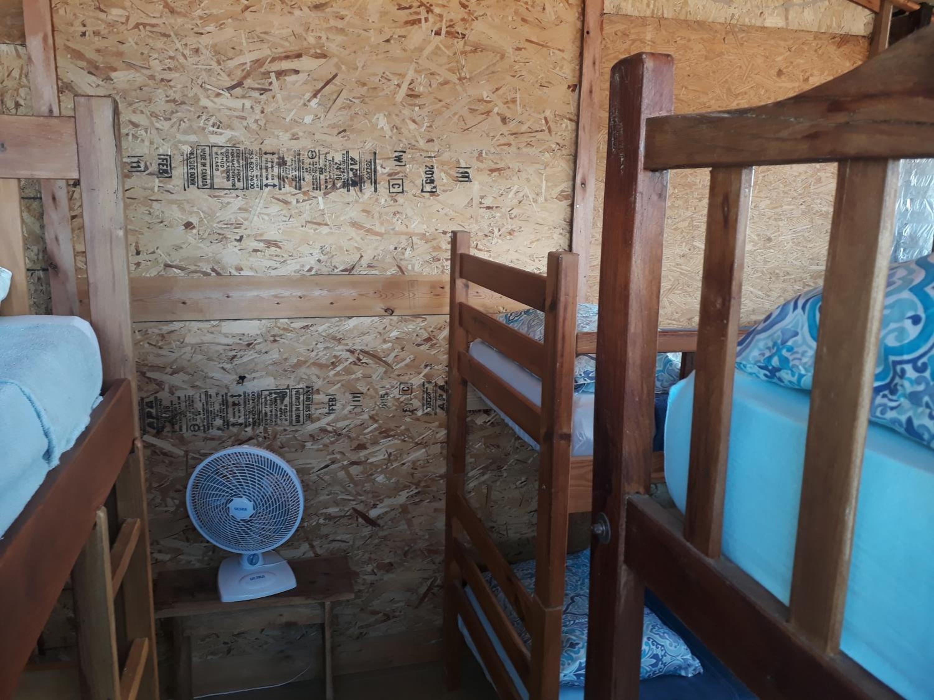 Bunk Bed In Male Dormitory Room  photo 1