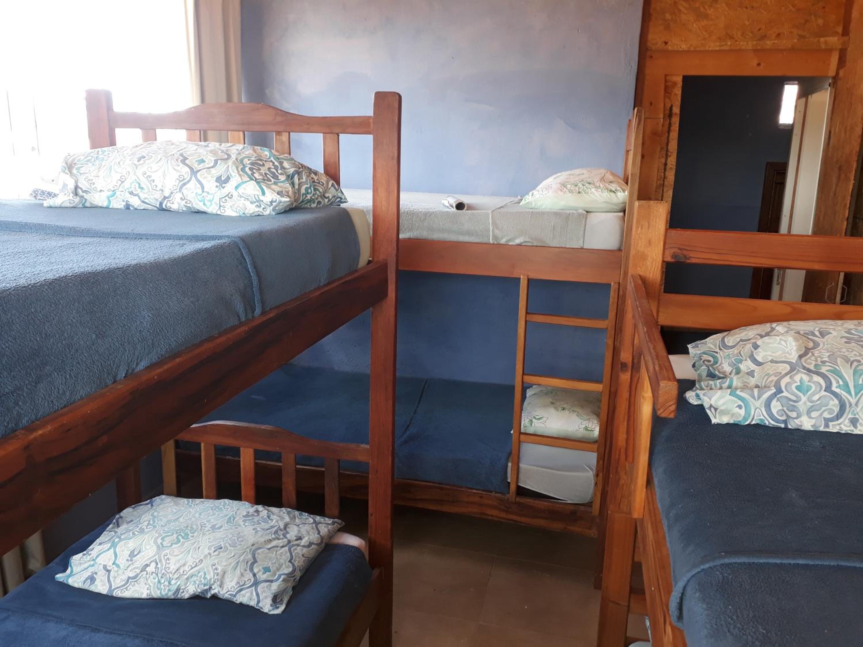 Bunk Bed In Male Dormitory Room  photo 2
