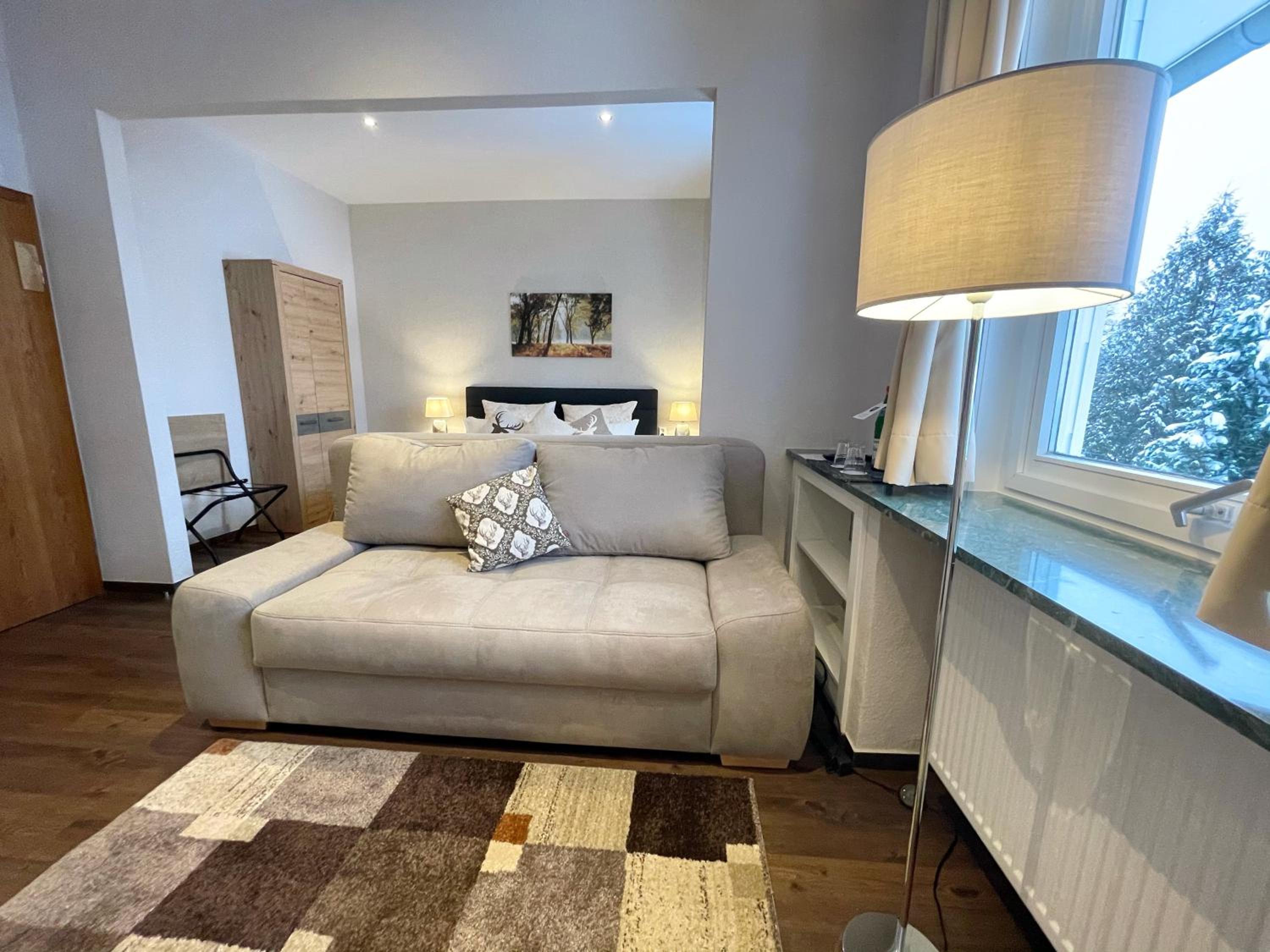 Large Double Room with Sofa Bed photo 3