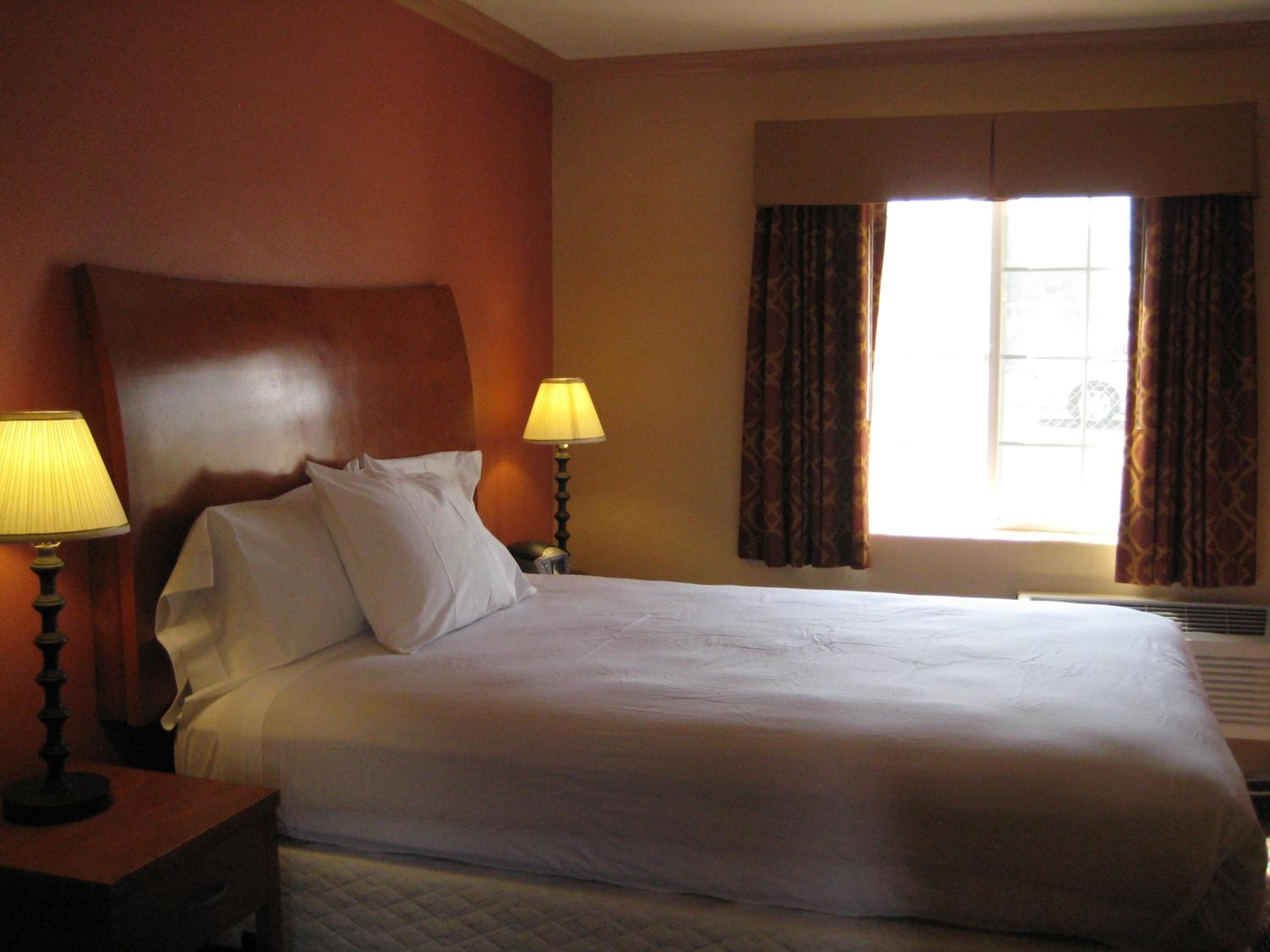 Standard Double Suite photo 1