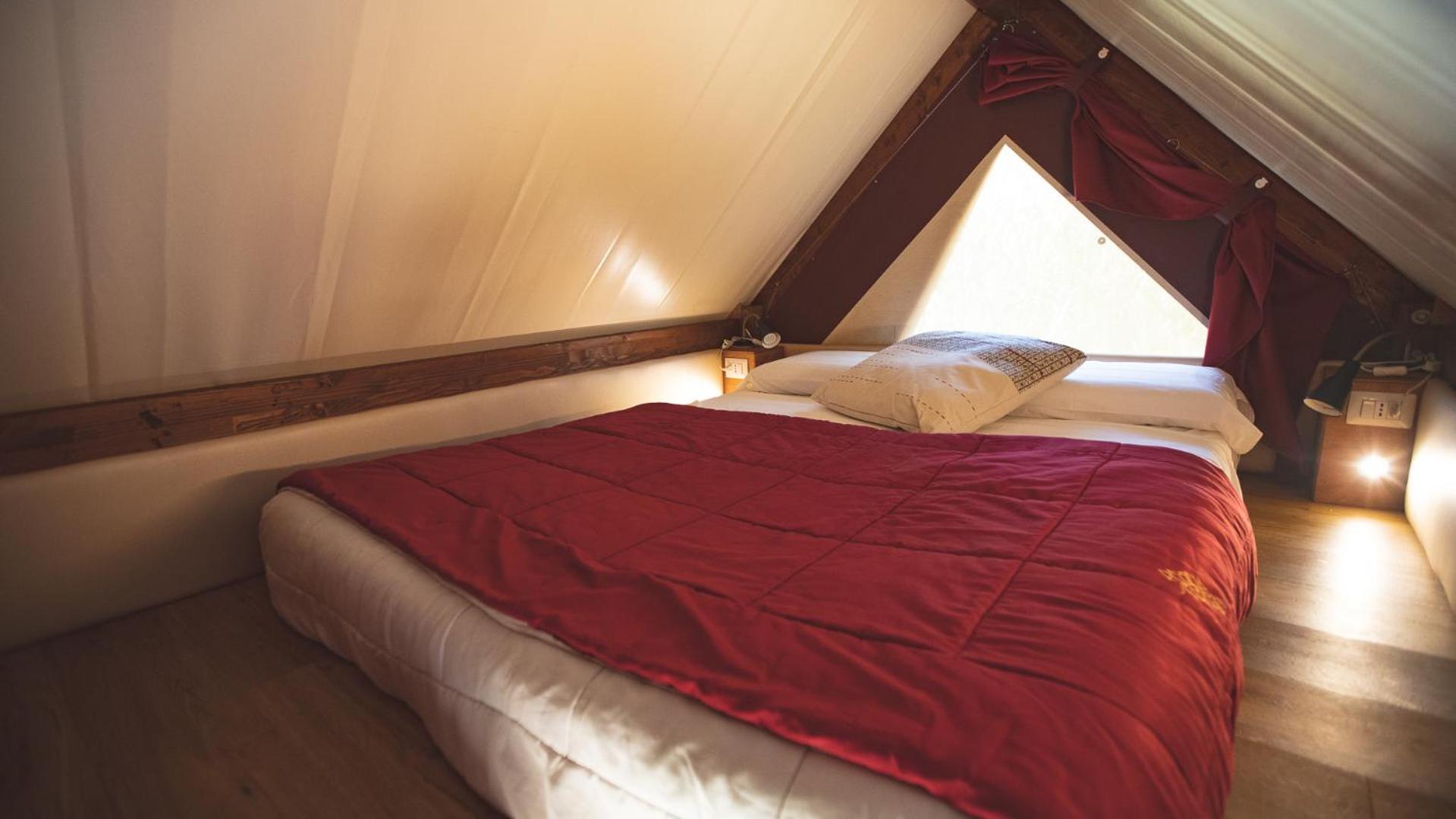 Tent - Basic photo 1